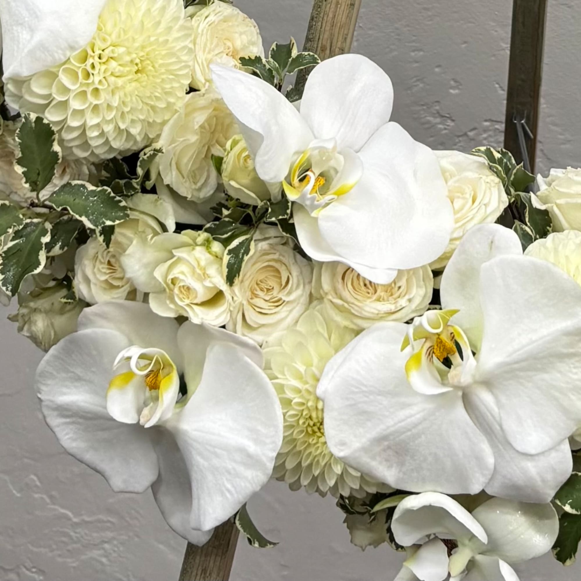 White orchids and cream roses arranged with pale dahlias