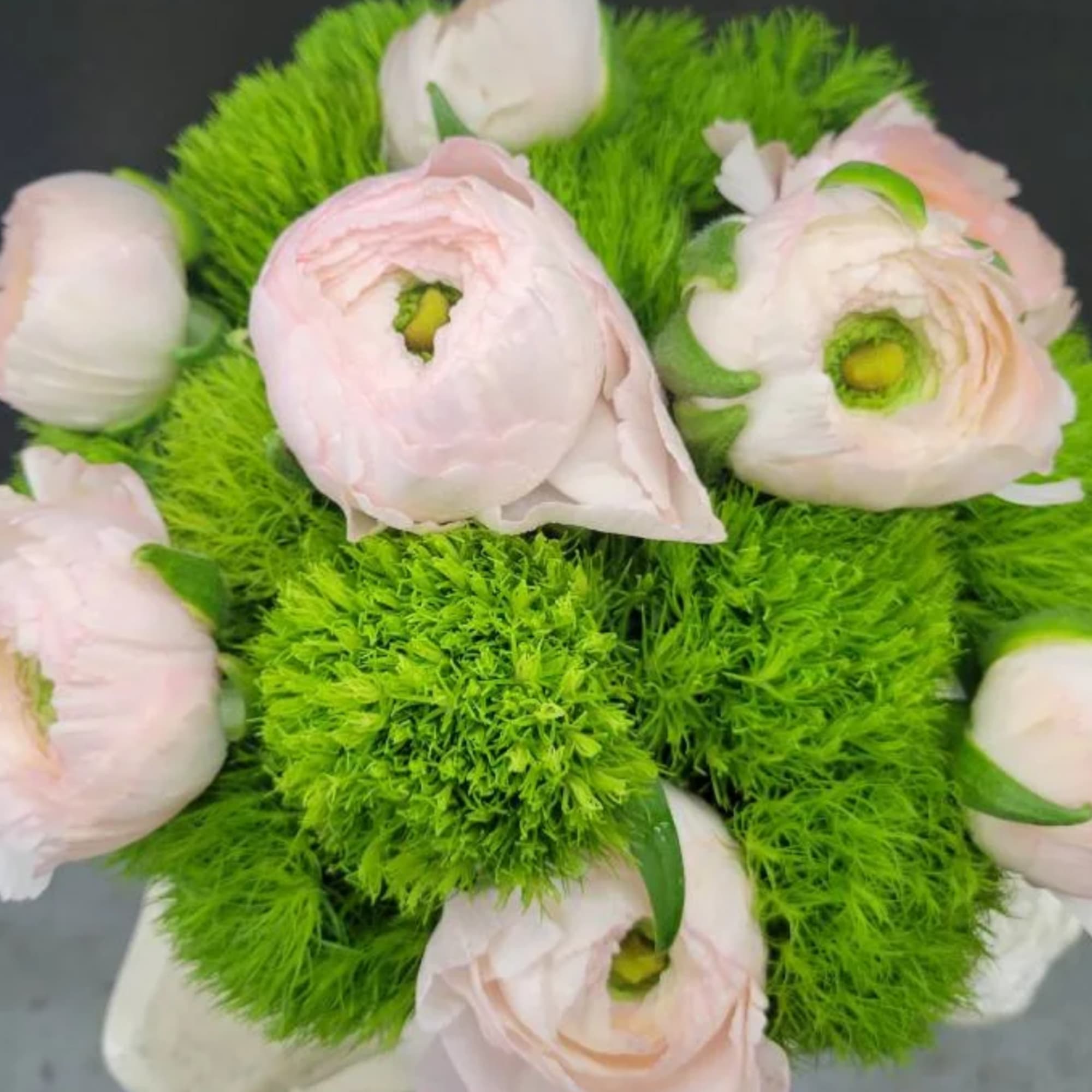 Bouquet of pale pink ranunculus with bright green filler flowers
