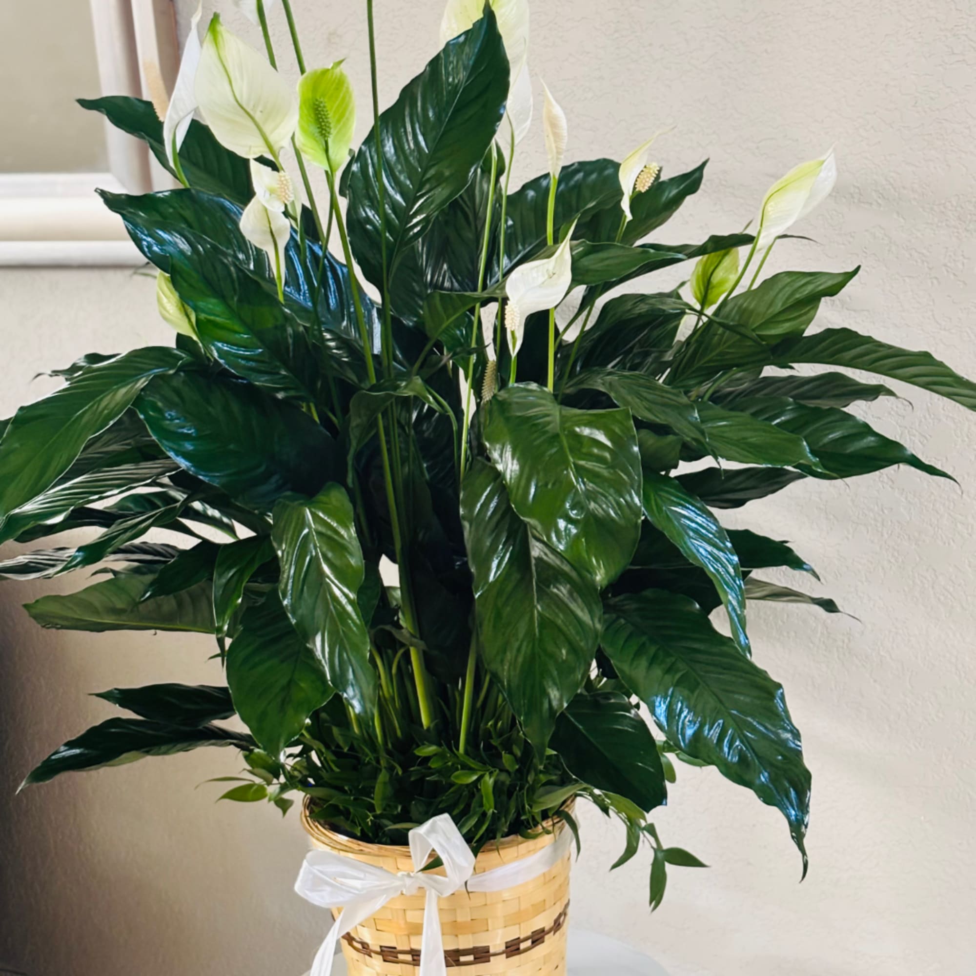 White peace lilies in a woven basket with a white ribbon