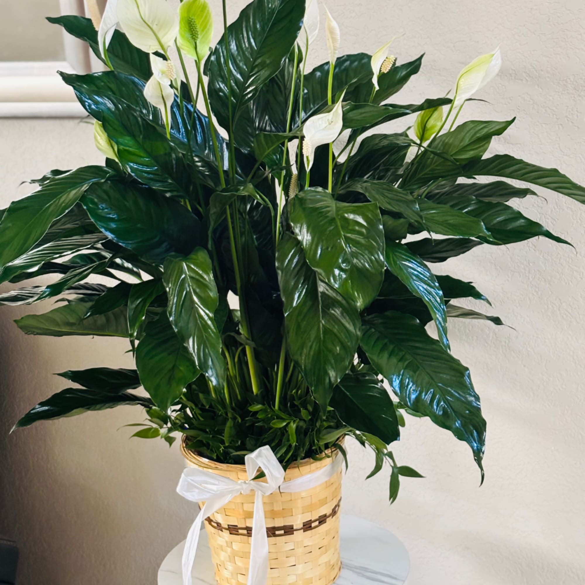 White peace lilies in a woven basket with a white ribbon, photo 3 of 3