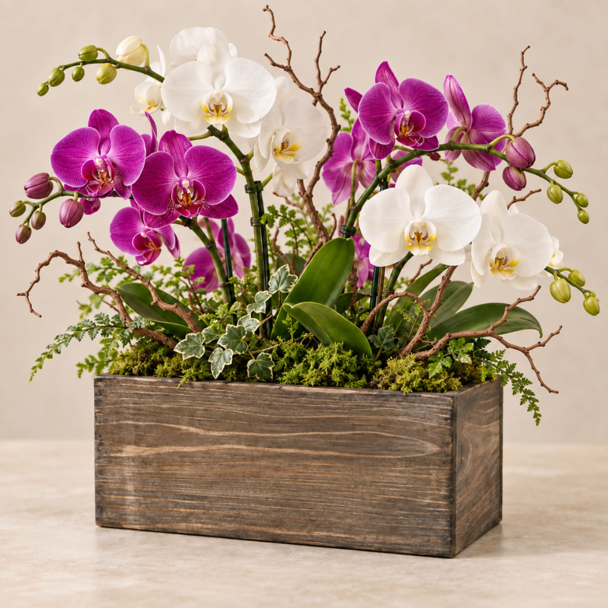 Orchid arrangement in a wooden planter with white and magenta blooms
