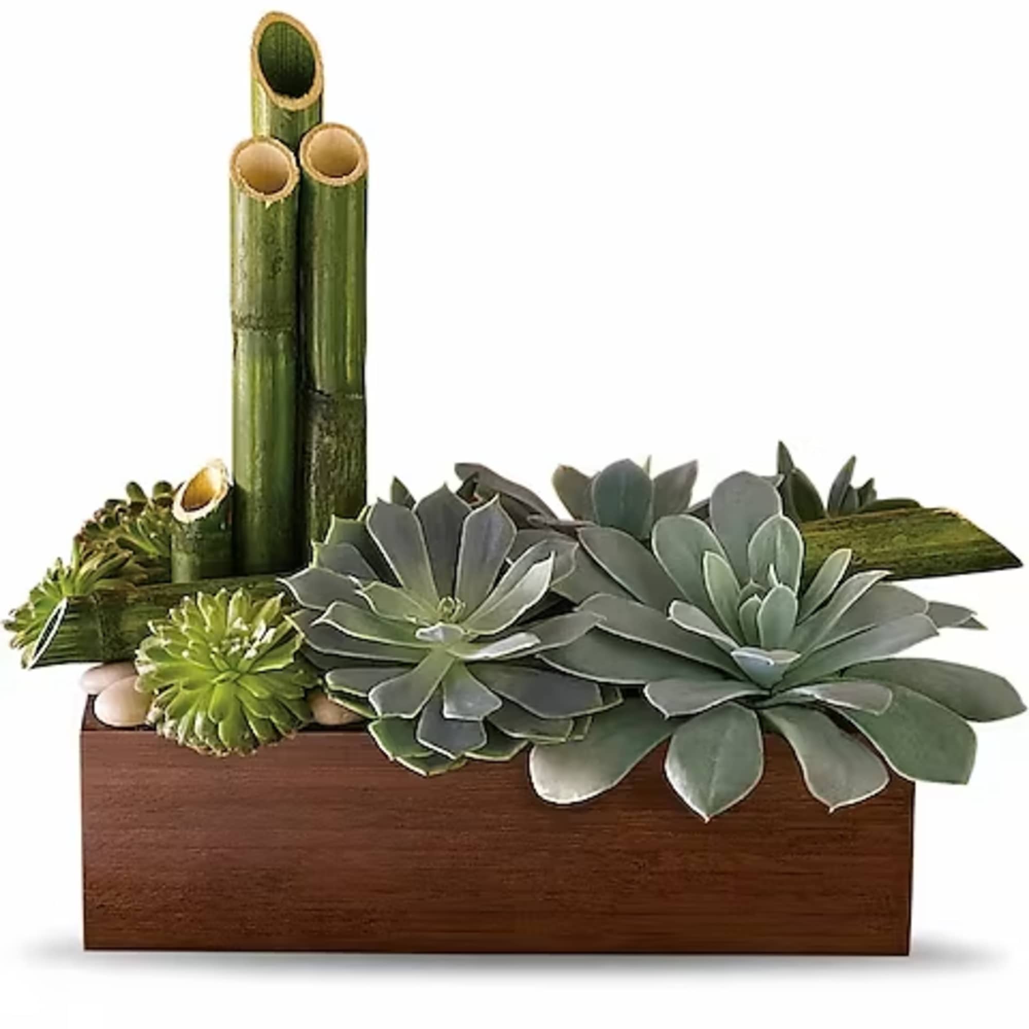 Succulent arrangement in a wooden box with bamboo tubes