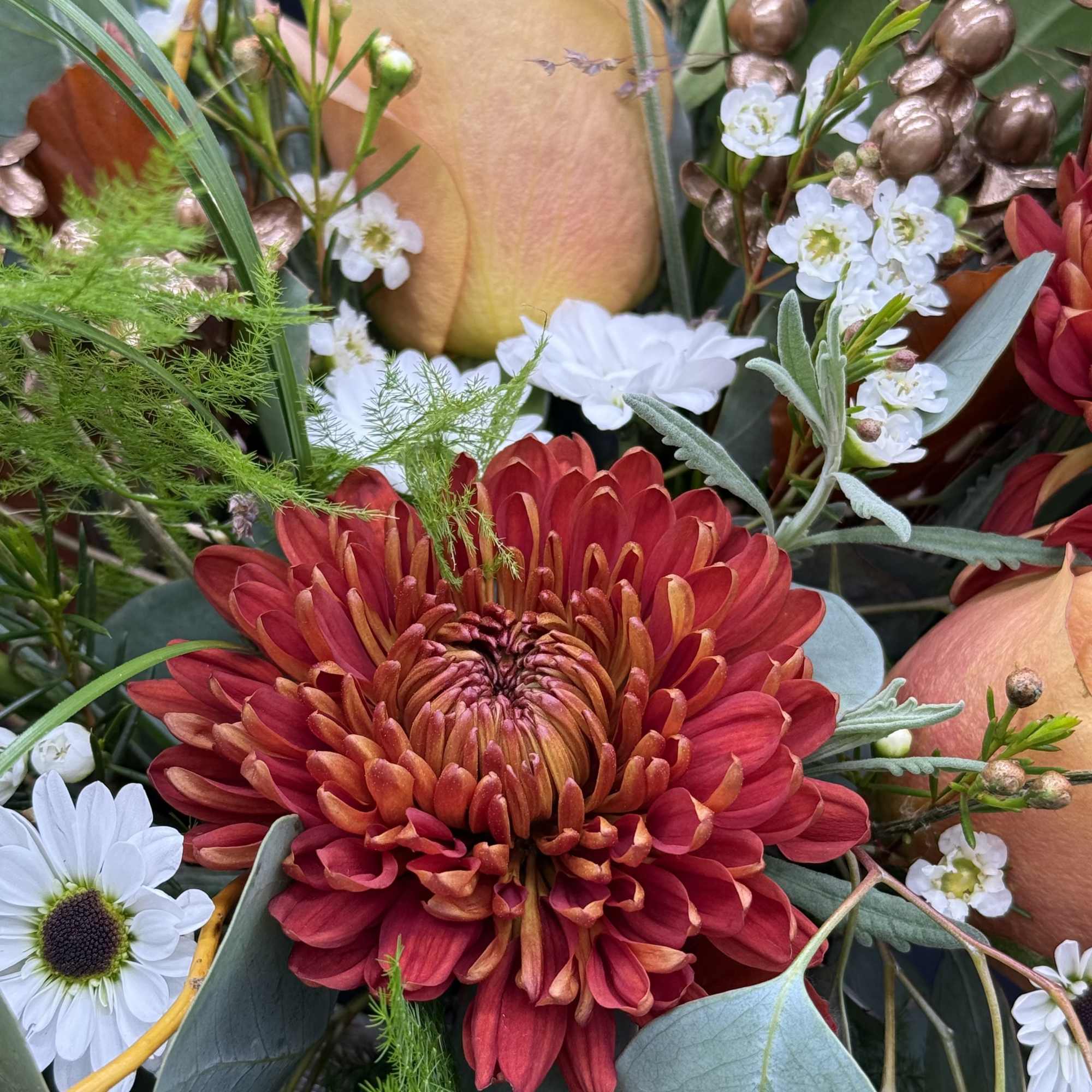 Close-up bouquet with red chrysanthemum and peach roses