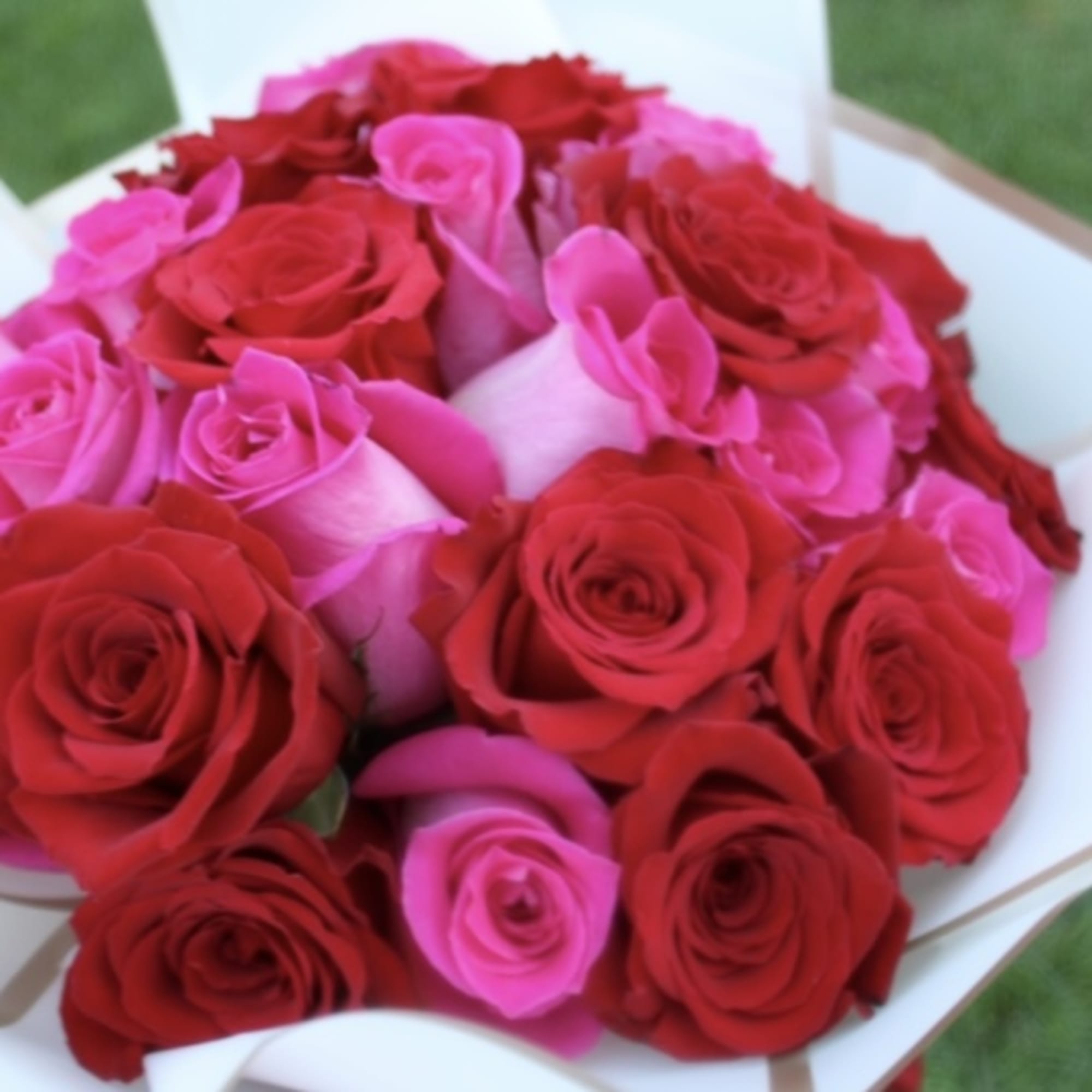 Bouquet of red and pink roses wrapped in white paper, photo 2 of 2