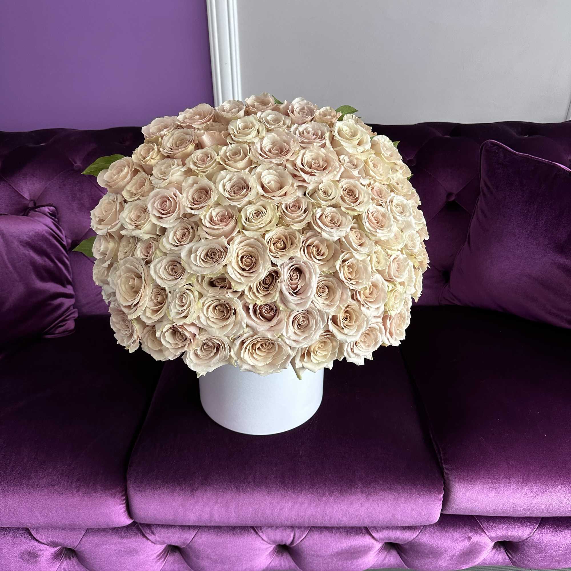 Large dome of pale blush roses in a white round box on a purple sofa