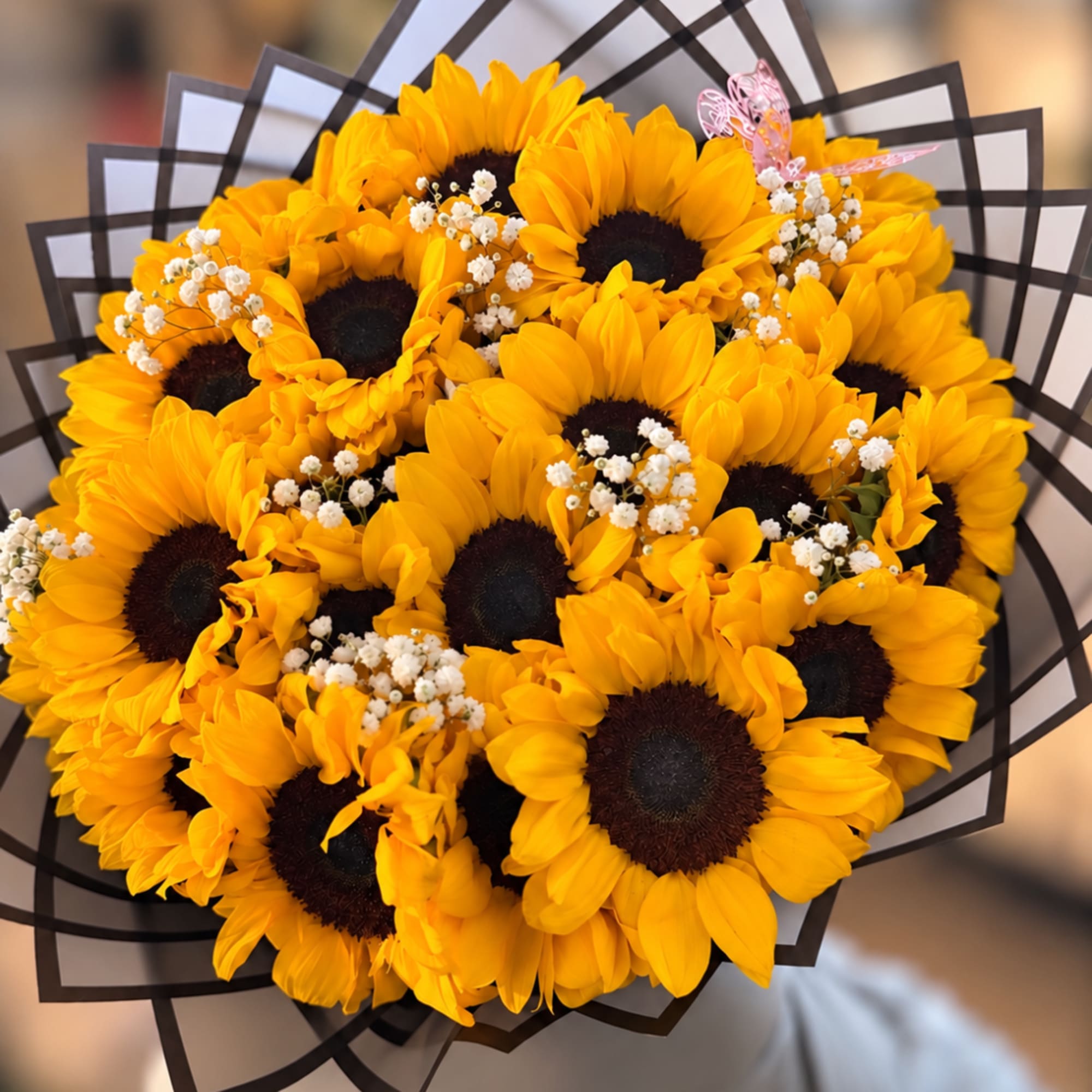 Bouquet of yellow sunflowers with white baby's breath in black wrap