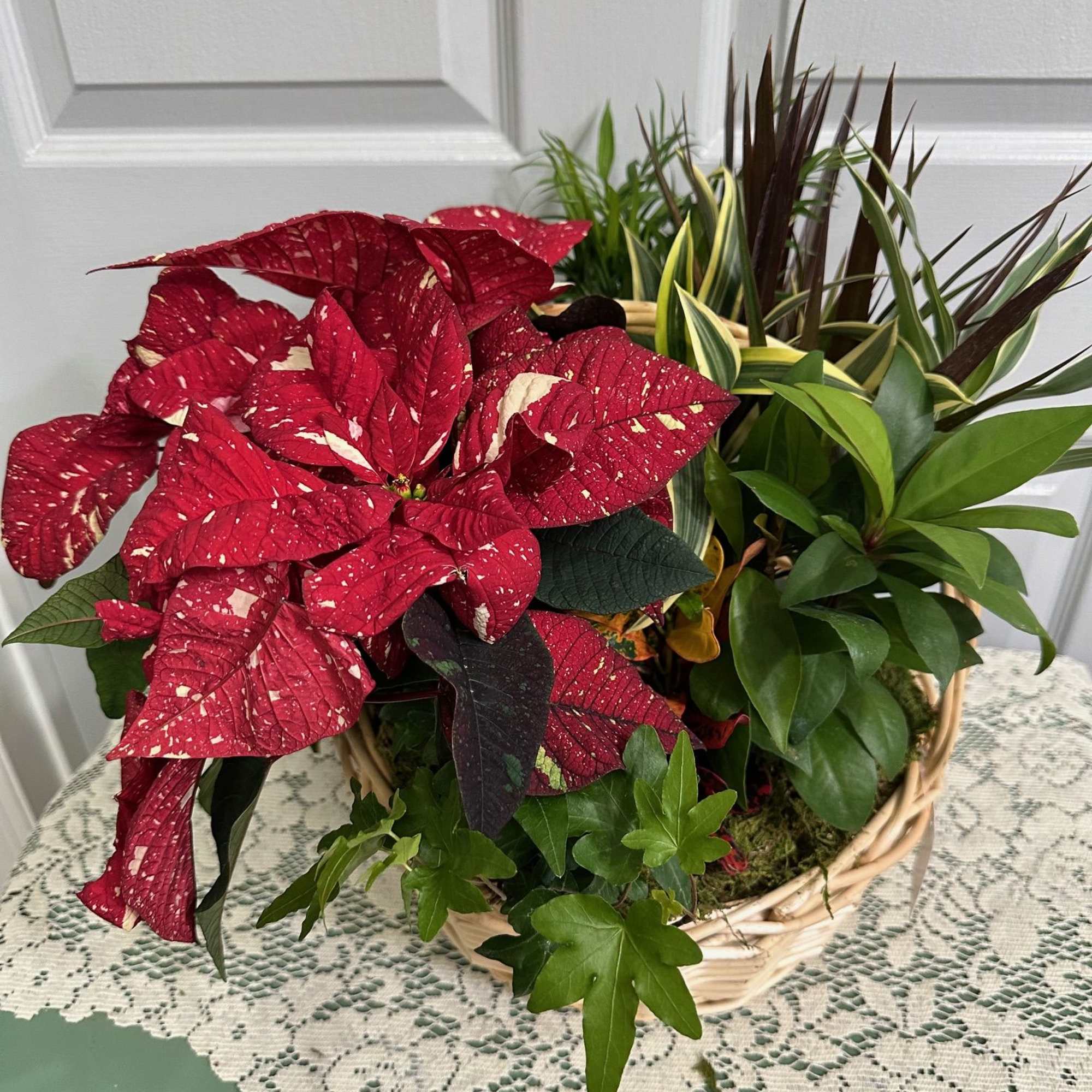 Basket of red poinsettias and assorted green houseplants