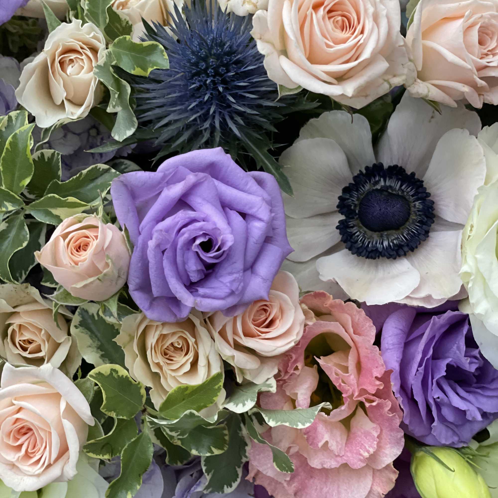 Bouquet of pale roses and purple blooms with white anemones