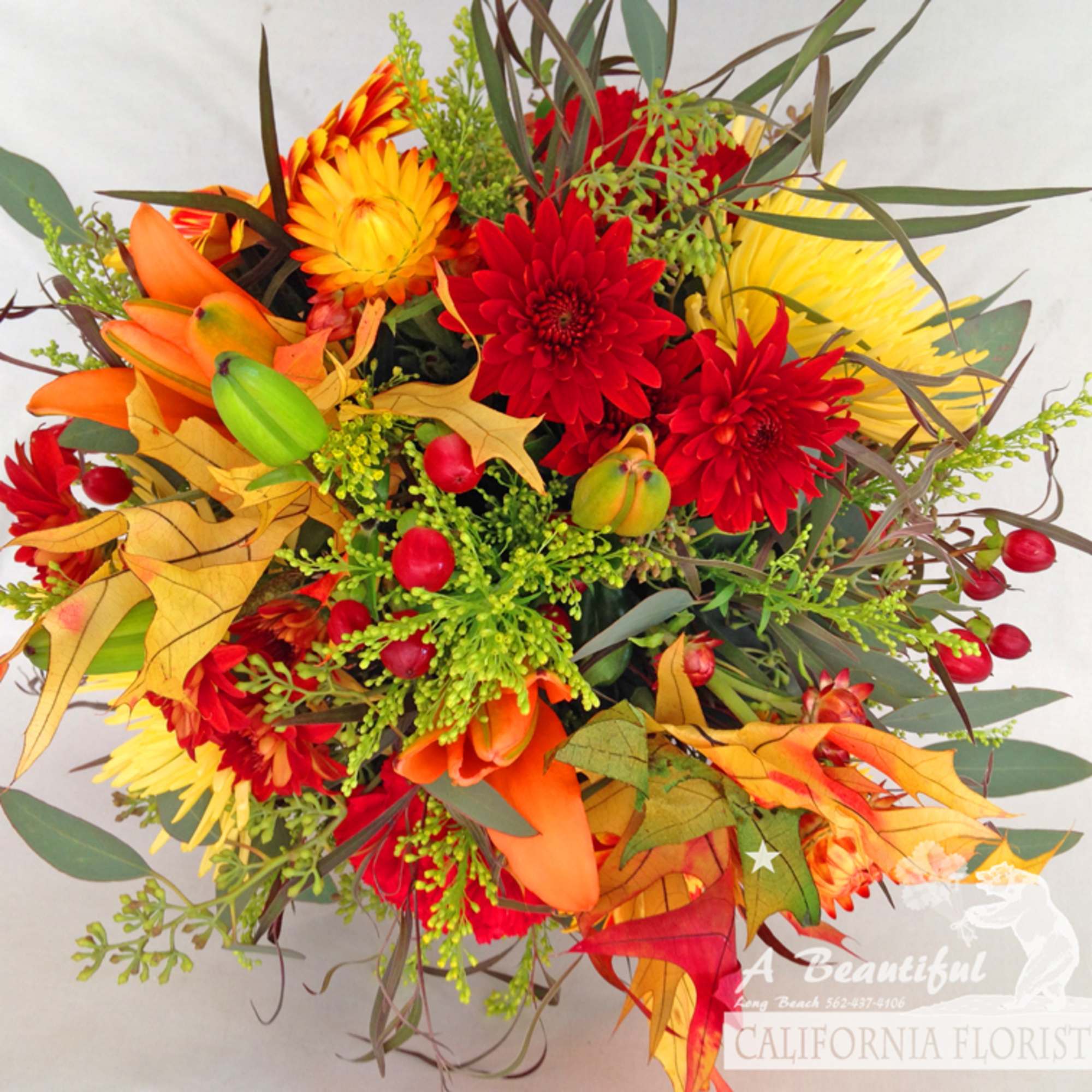 The change of seasons is upon us. Autumn Shades in fall colors, photo 4 of 4
