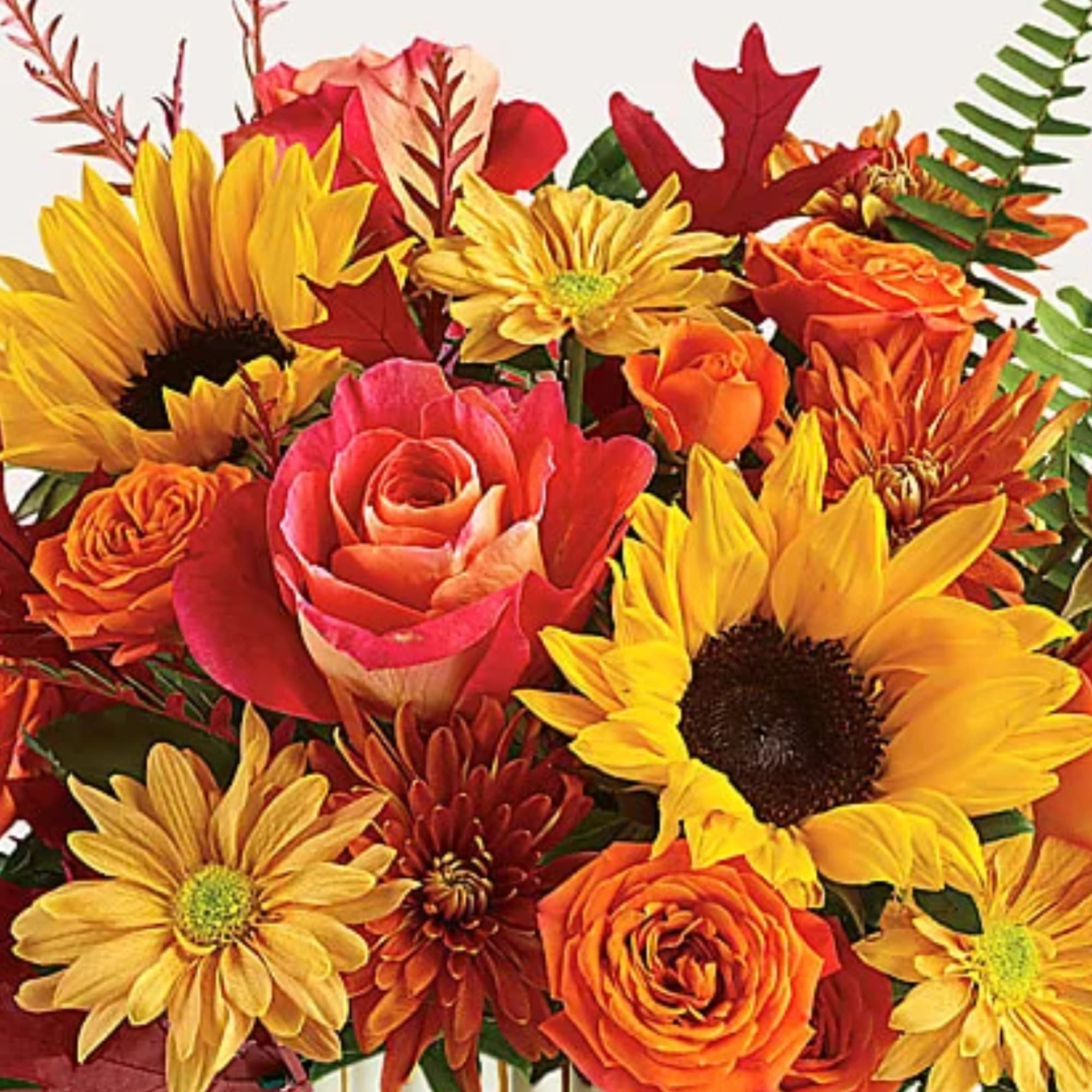 Bouquet of sunflowers, roses, and daisies in yellow, orange, and red