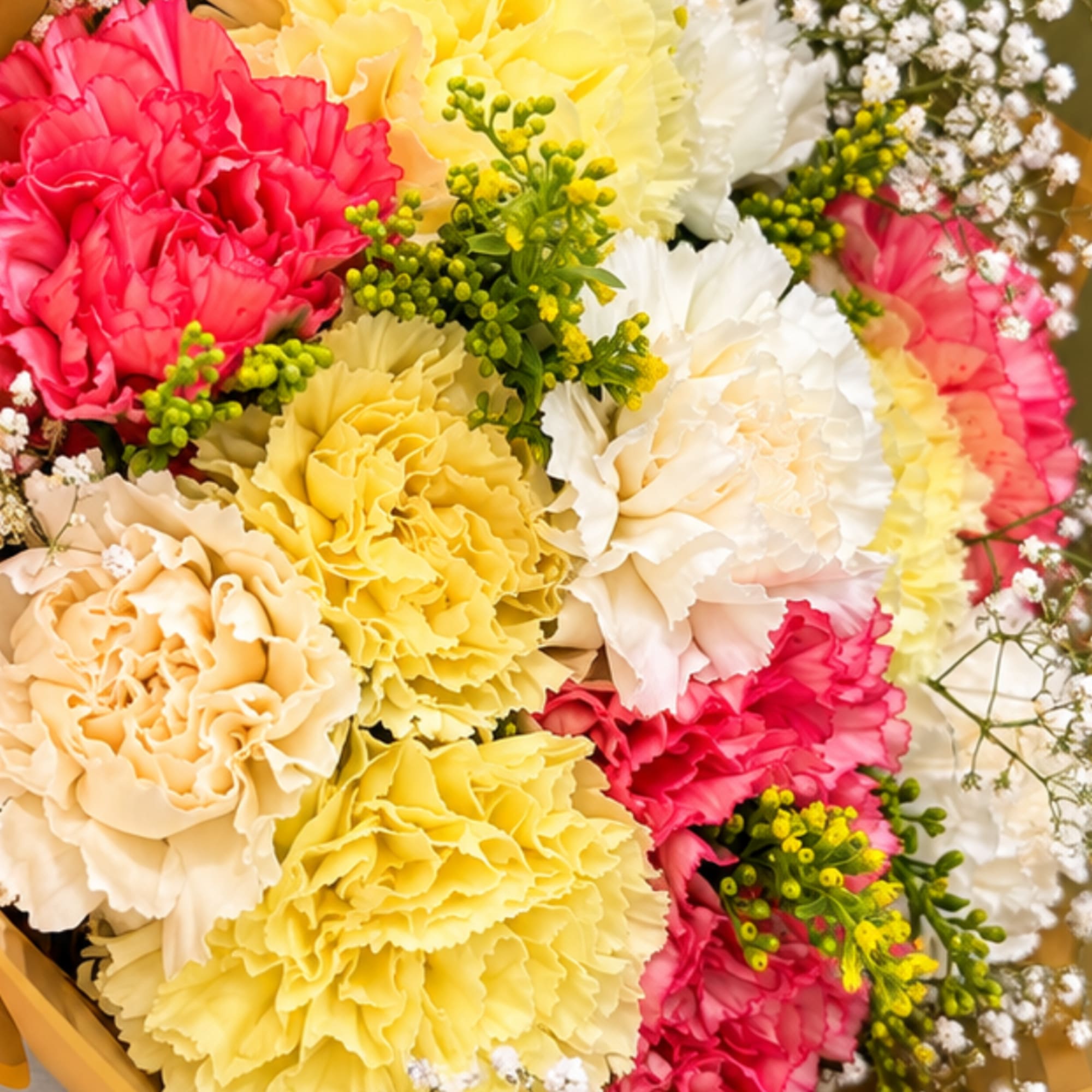 Bouquet of colorful carnations with small white filler flowers