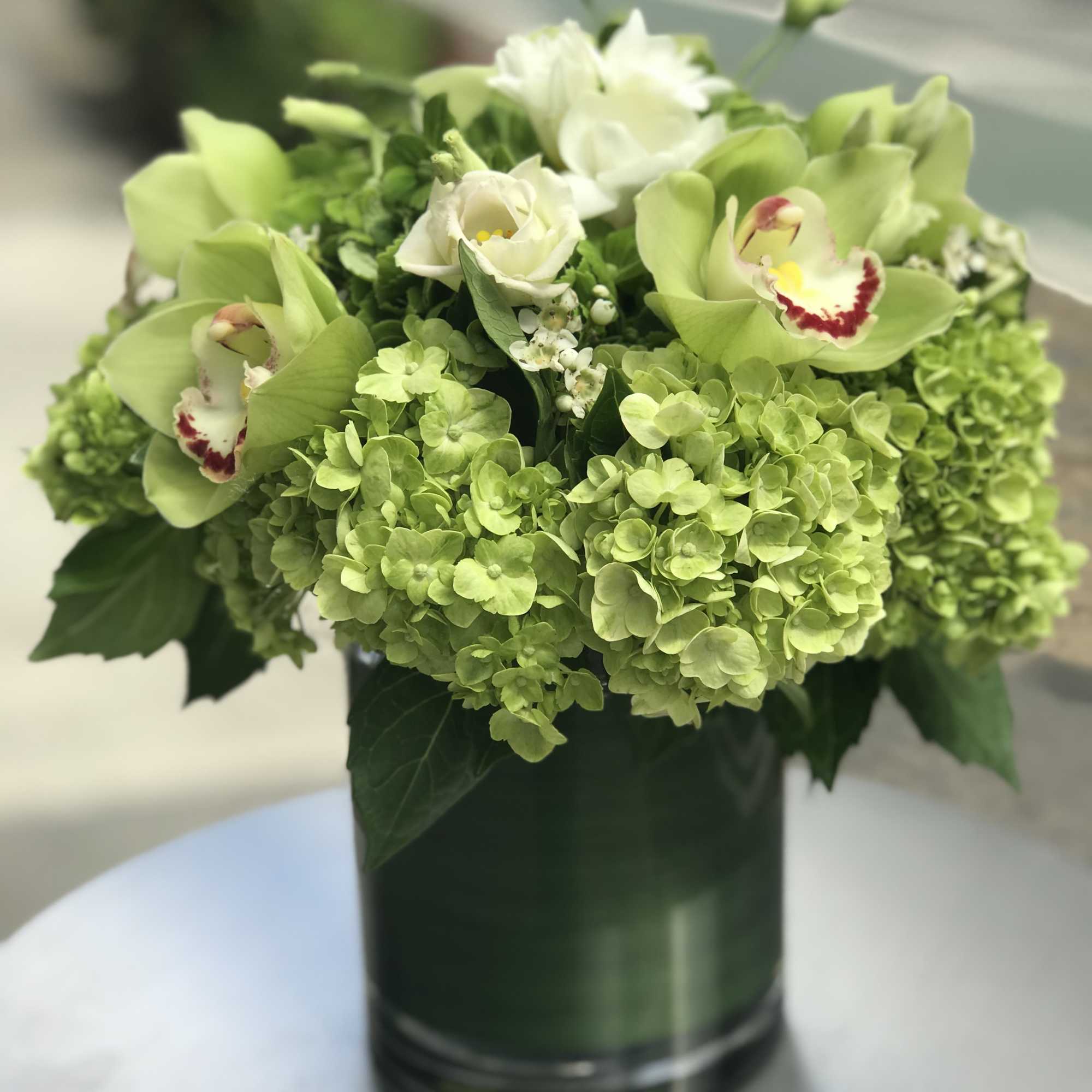 Bloom4007, photo 2 of 4