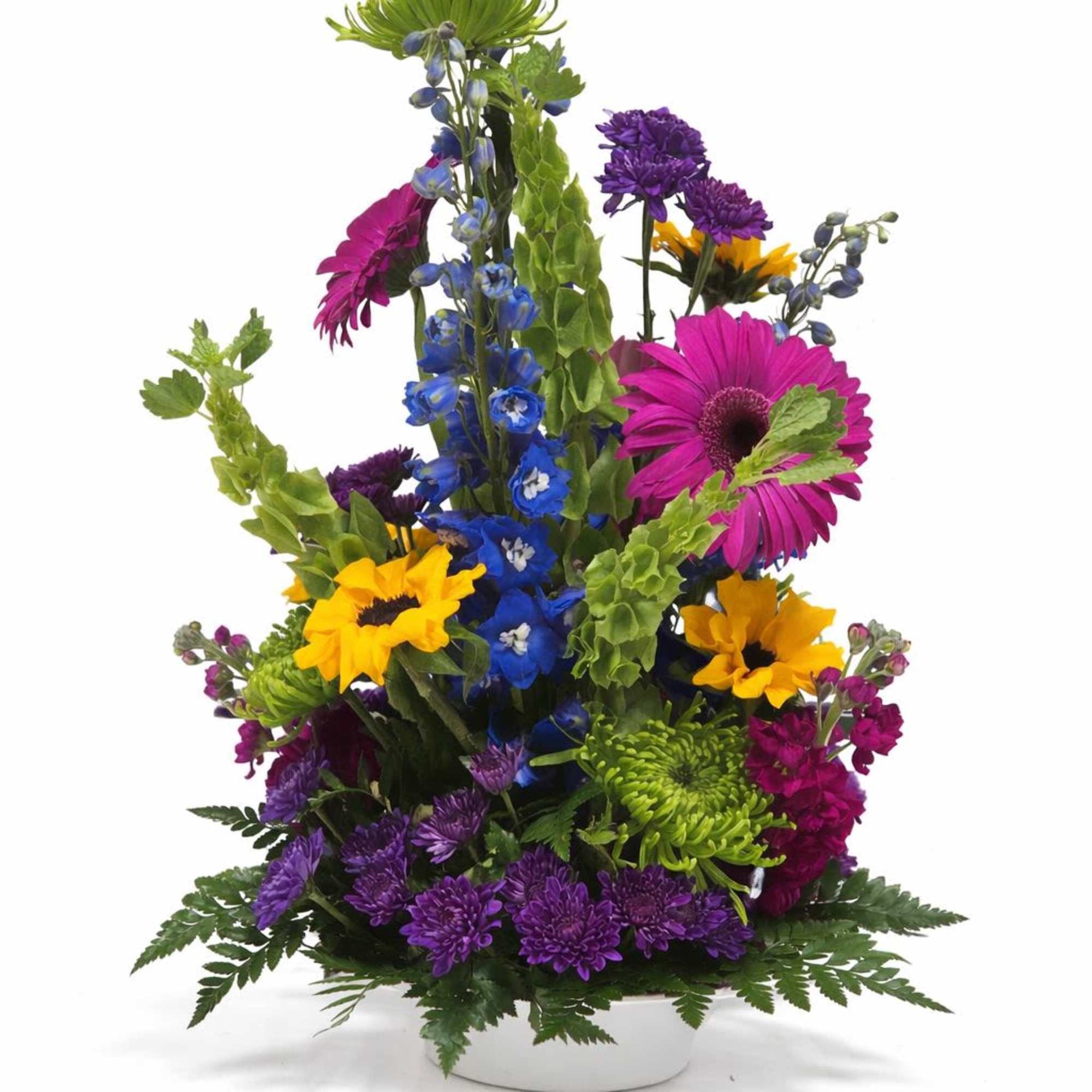 Bring bold color and joyful energy into any space with our vibrant, photo 2 of 2