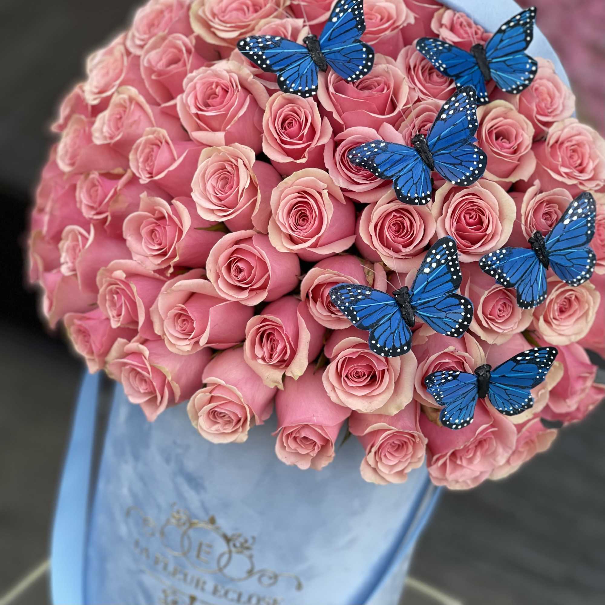 Standard 50 Geraldine roses in our signature baby blue box with butterflies
Deluxe, photo 2 of 2