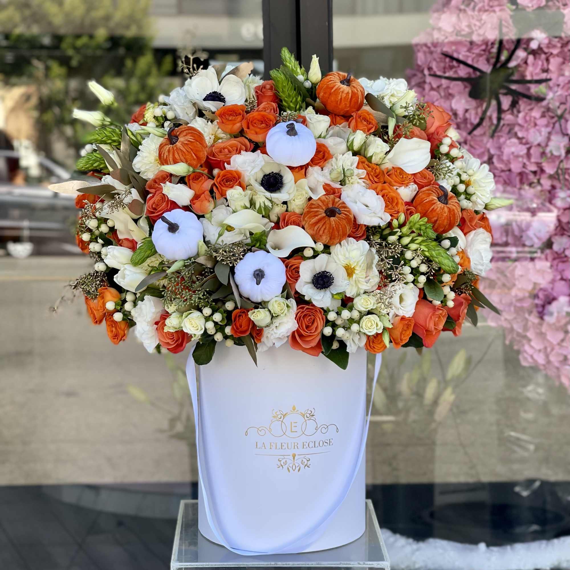 all whites and oranges