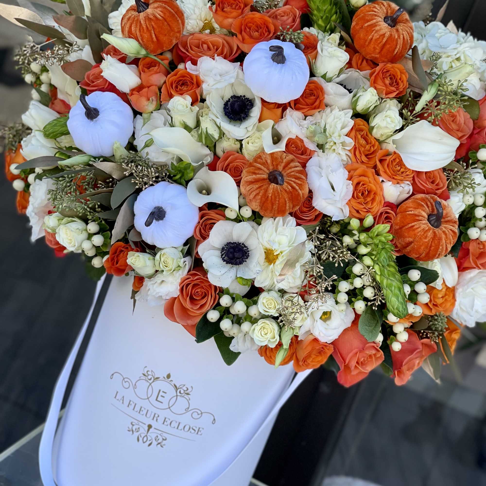 all whites and oranges, photo 2 of 2