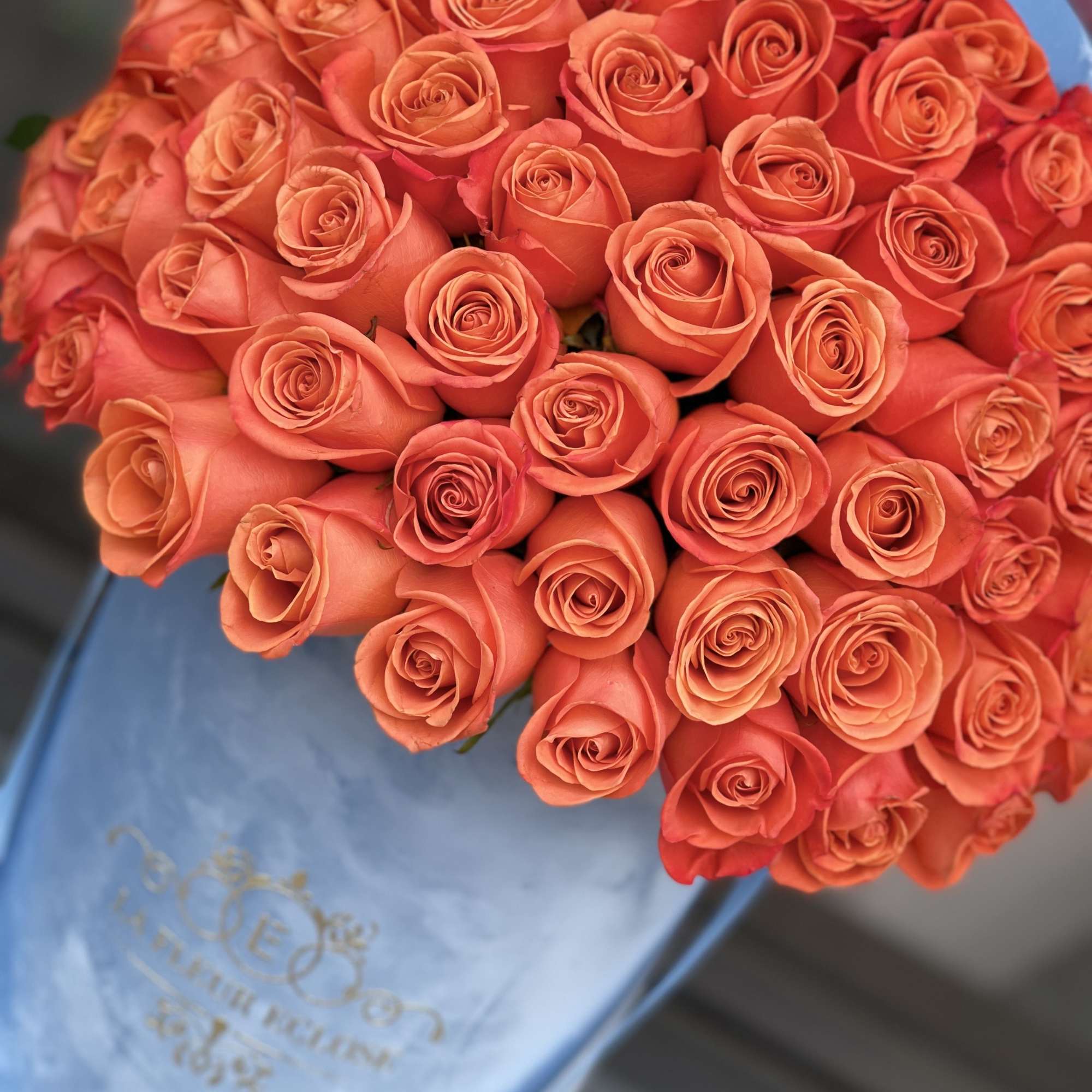 Standard 50 fresh cut  orange roses in our light blue velvet, photo 2 of 2