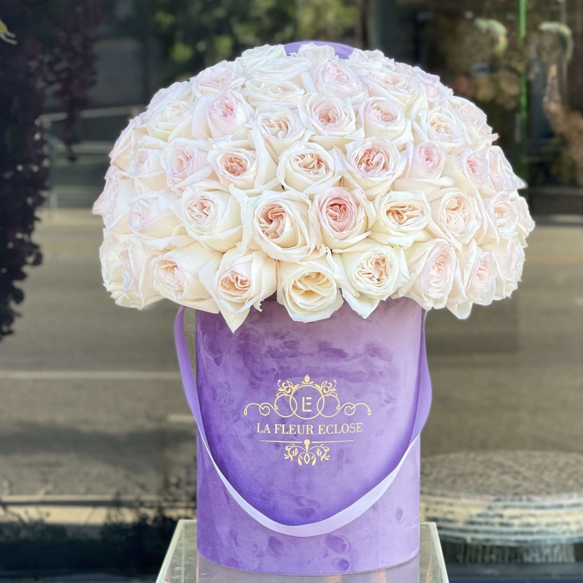 50 garden roses in our signature velvet lavender box 