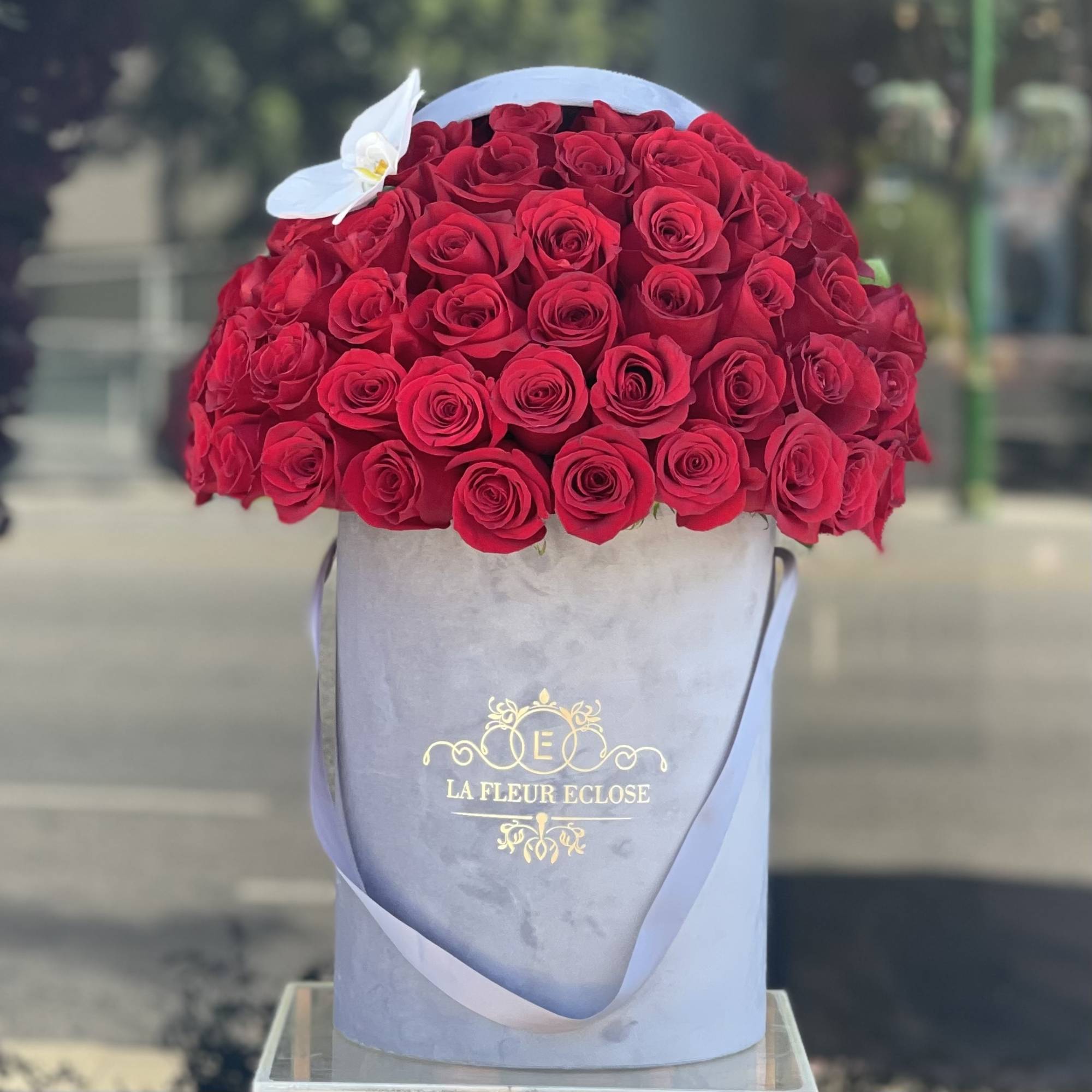 Red roses with one white  orchid, arranged in our grey velvet