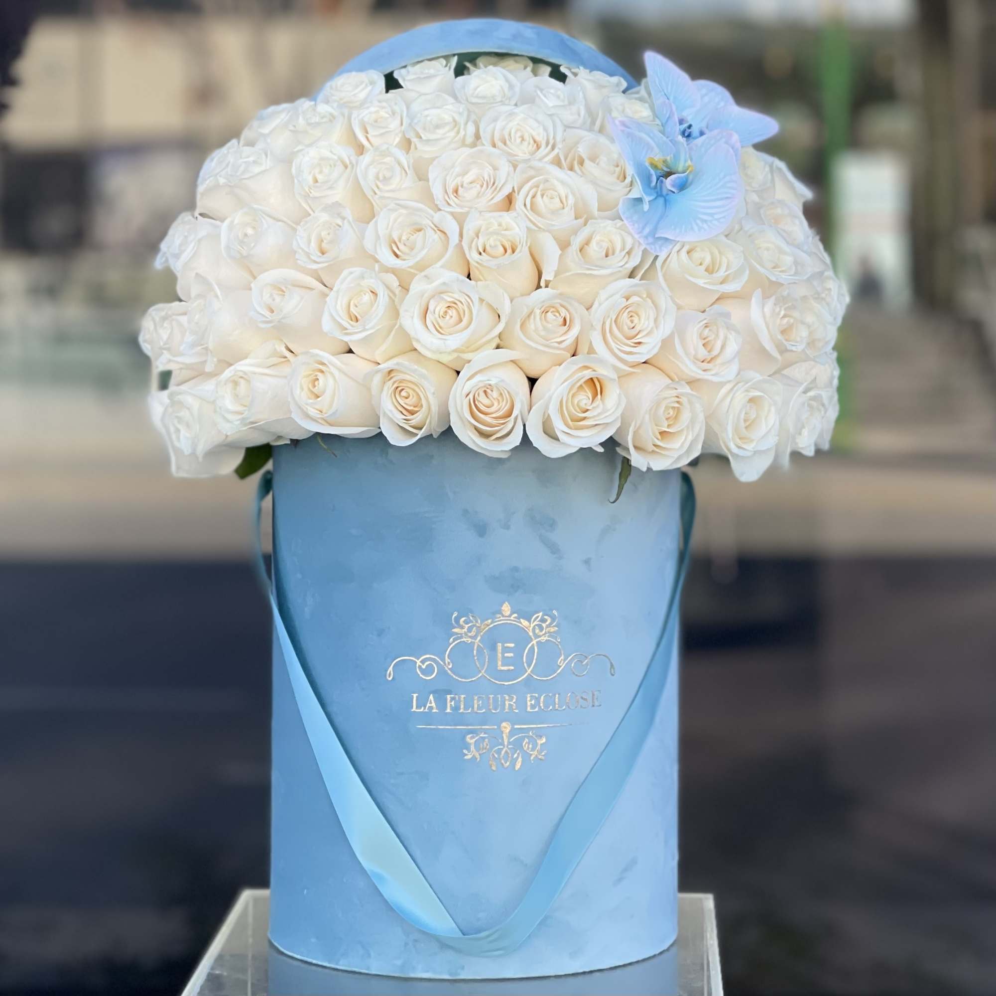 60 white roses with blue orchid , photo 2 of 2