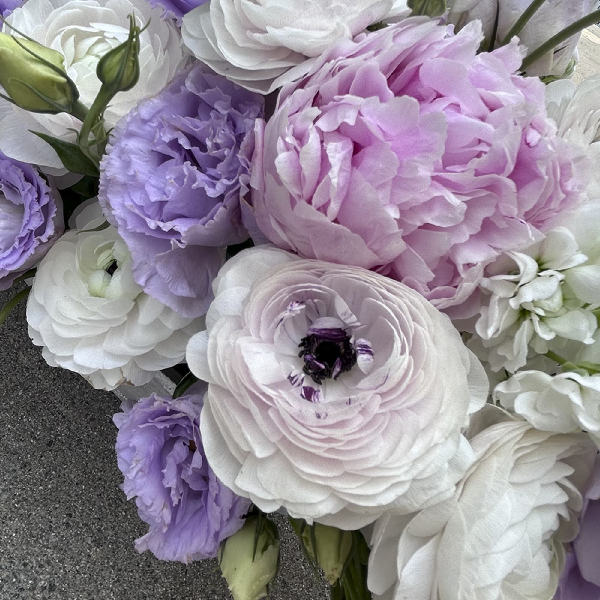 Bouquet of white, pink, and lavender flowers with layered petals