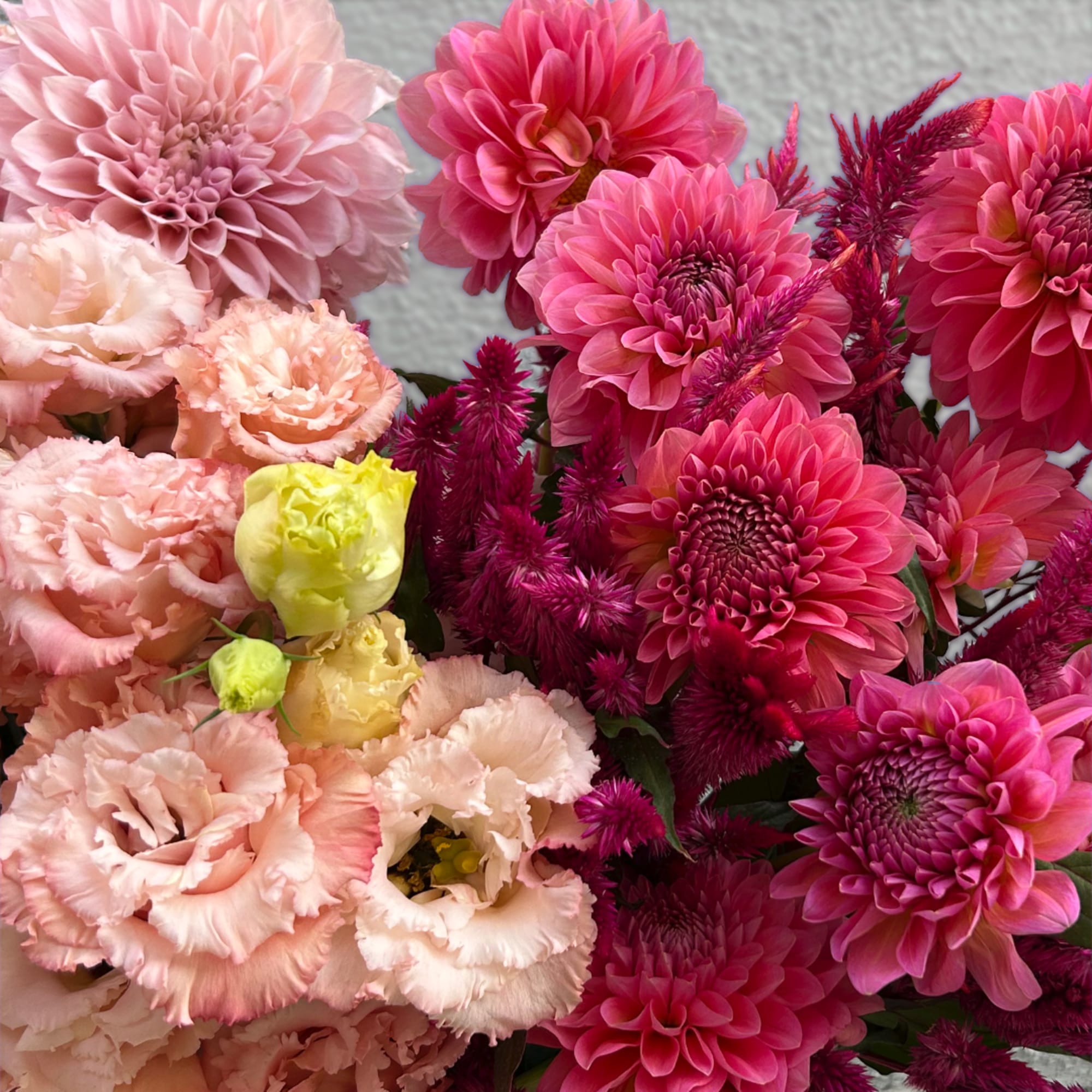 Pink and peach flowers arranged in a close-up bouquet