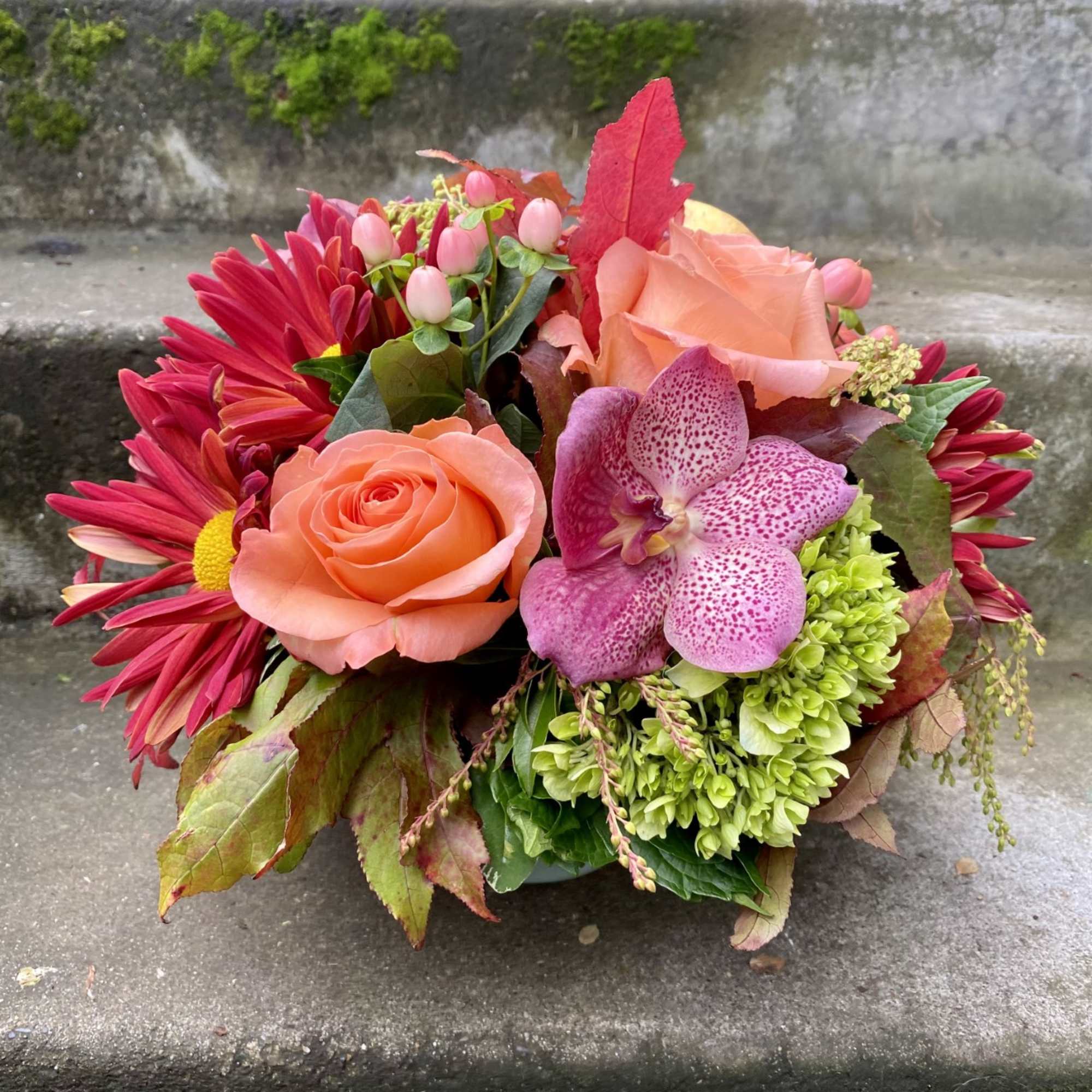 Bouquet of peach roses, pink orchids, and red daisies in a low arrangement