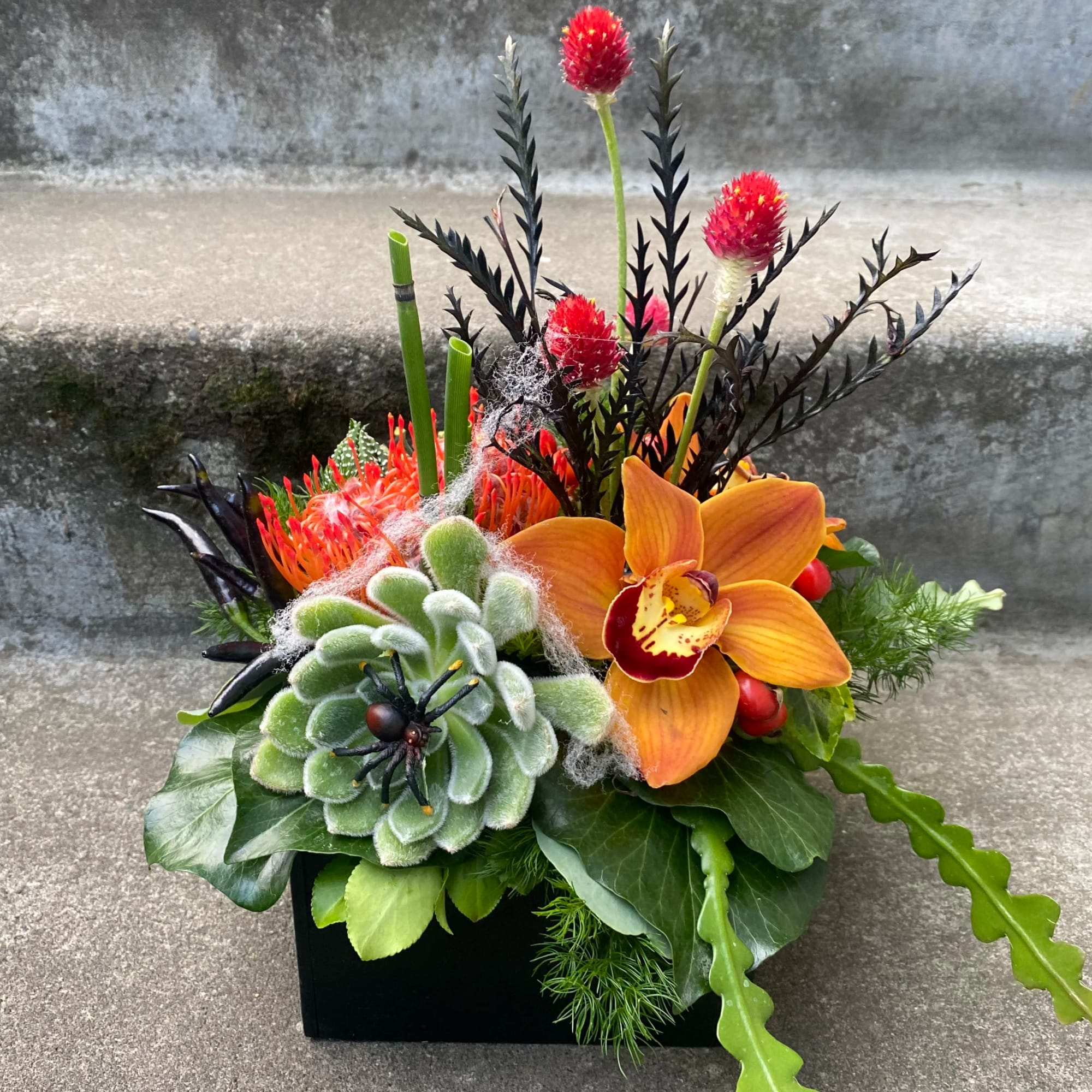 Orange orchid arrangement with succulents in a black container