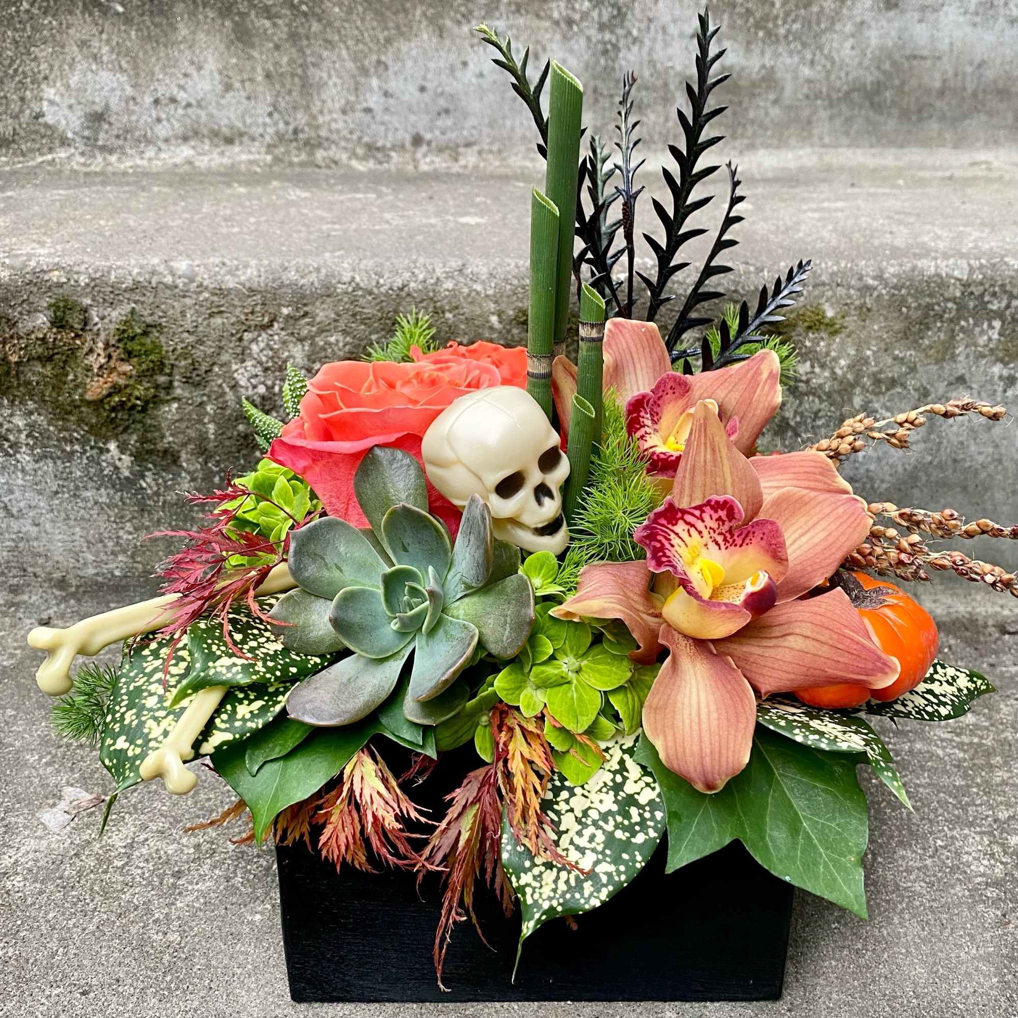Succulent and orchid arrangement with a small skull accent in a black container