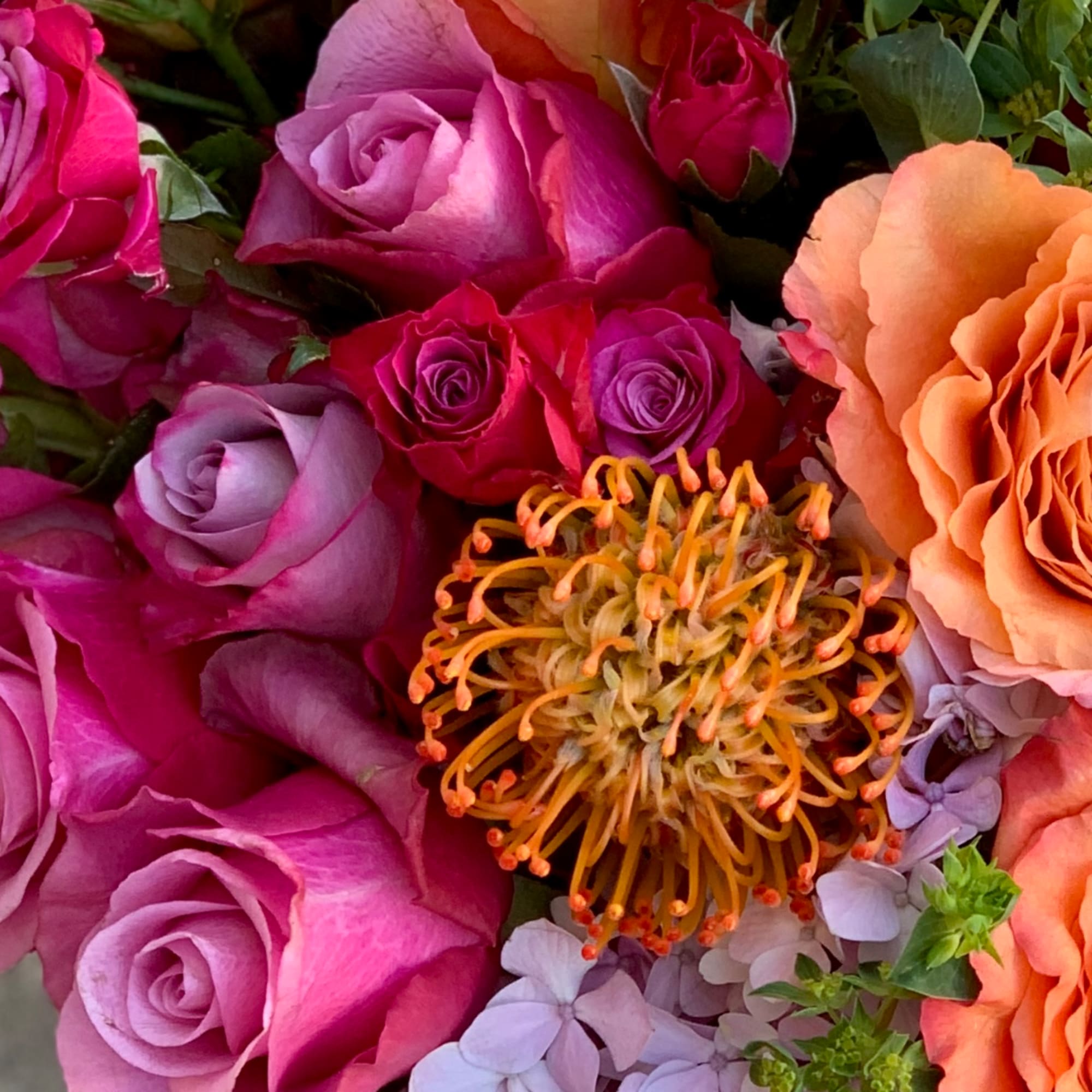 Close-up bouquet of pink and peach roses with a yellow-orange pincushion flower