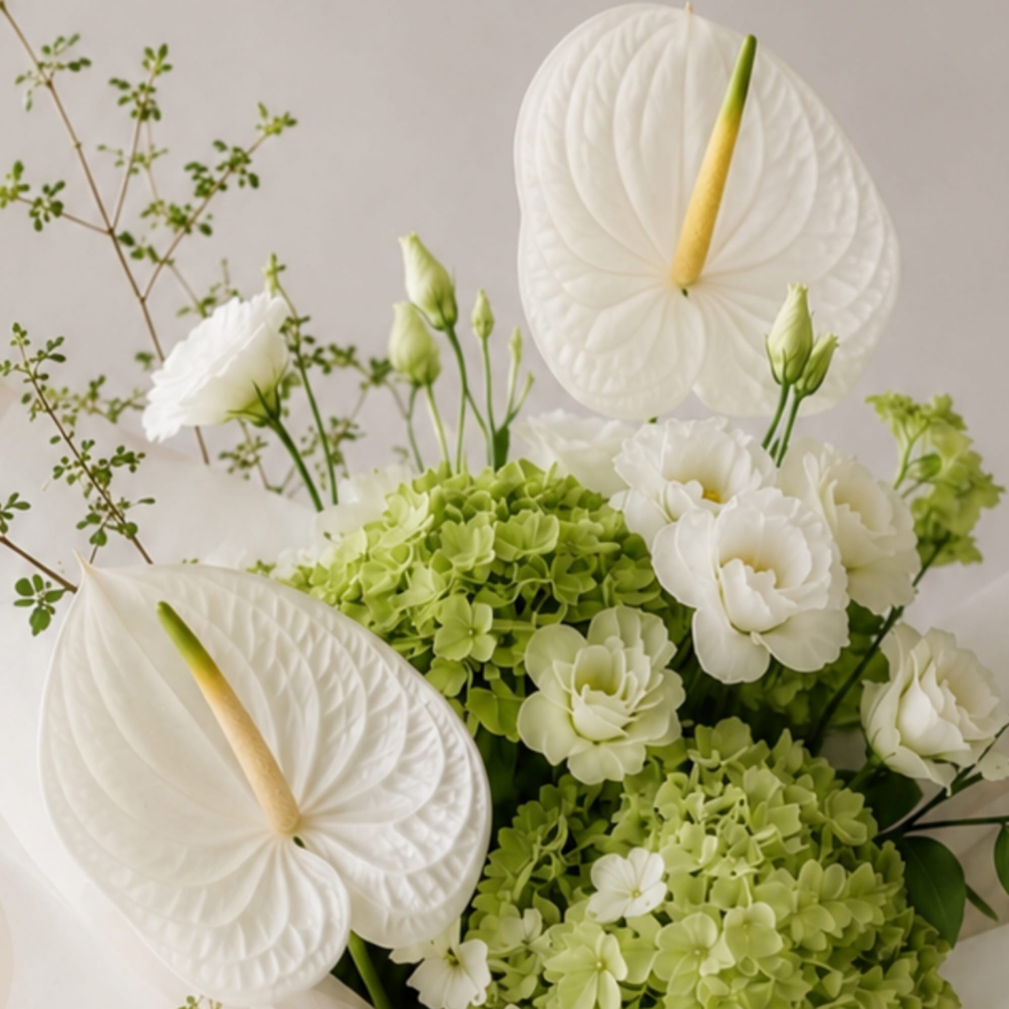 White anthuriums and green hydrangeas with white lisianthus