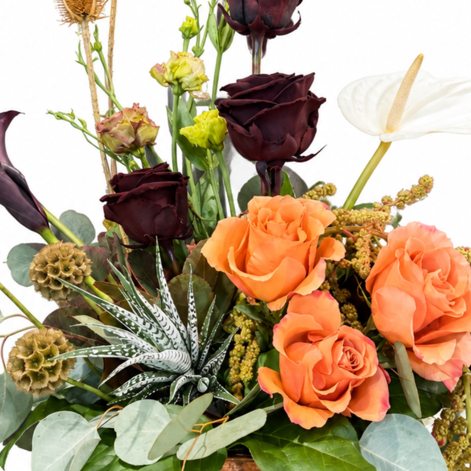 Bouquet of orange and dark burgundy roses with a white anthurium