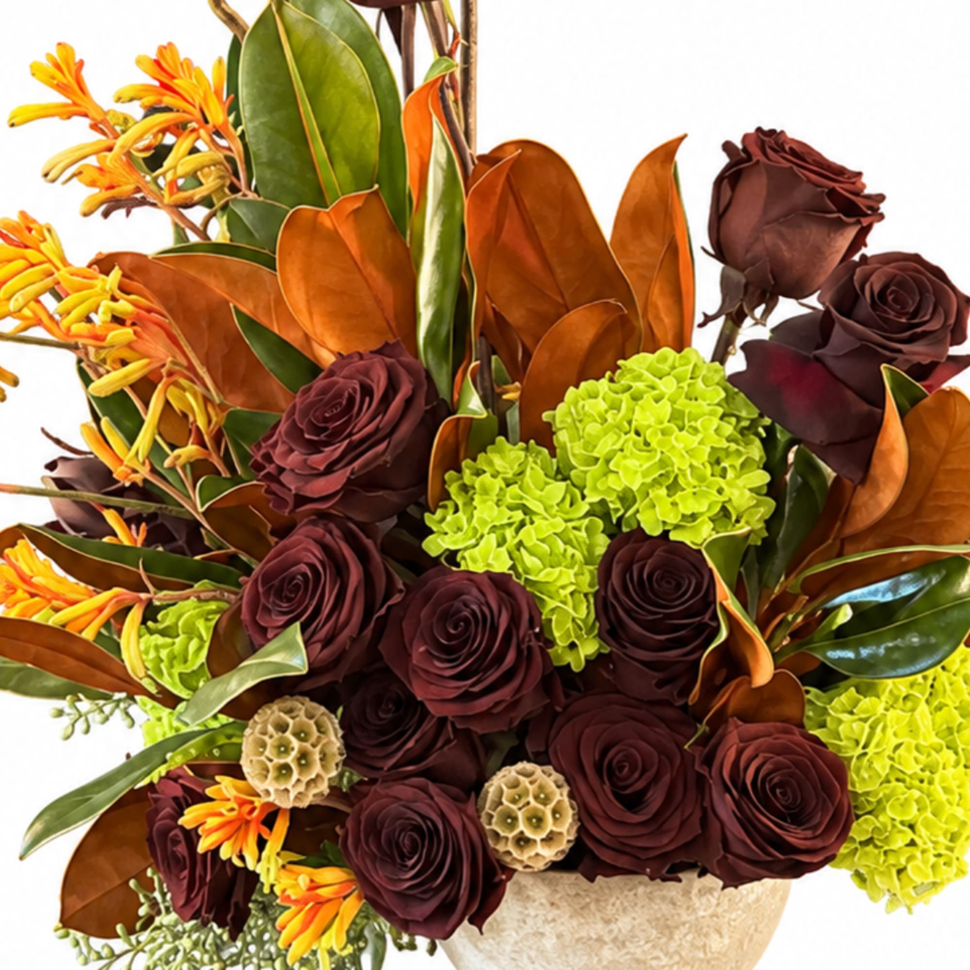 Arrangement of dark roses, lime hydrangeas, and orange tropical foliage in a vase
