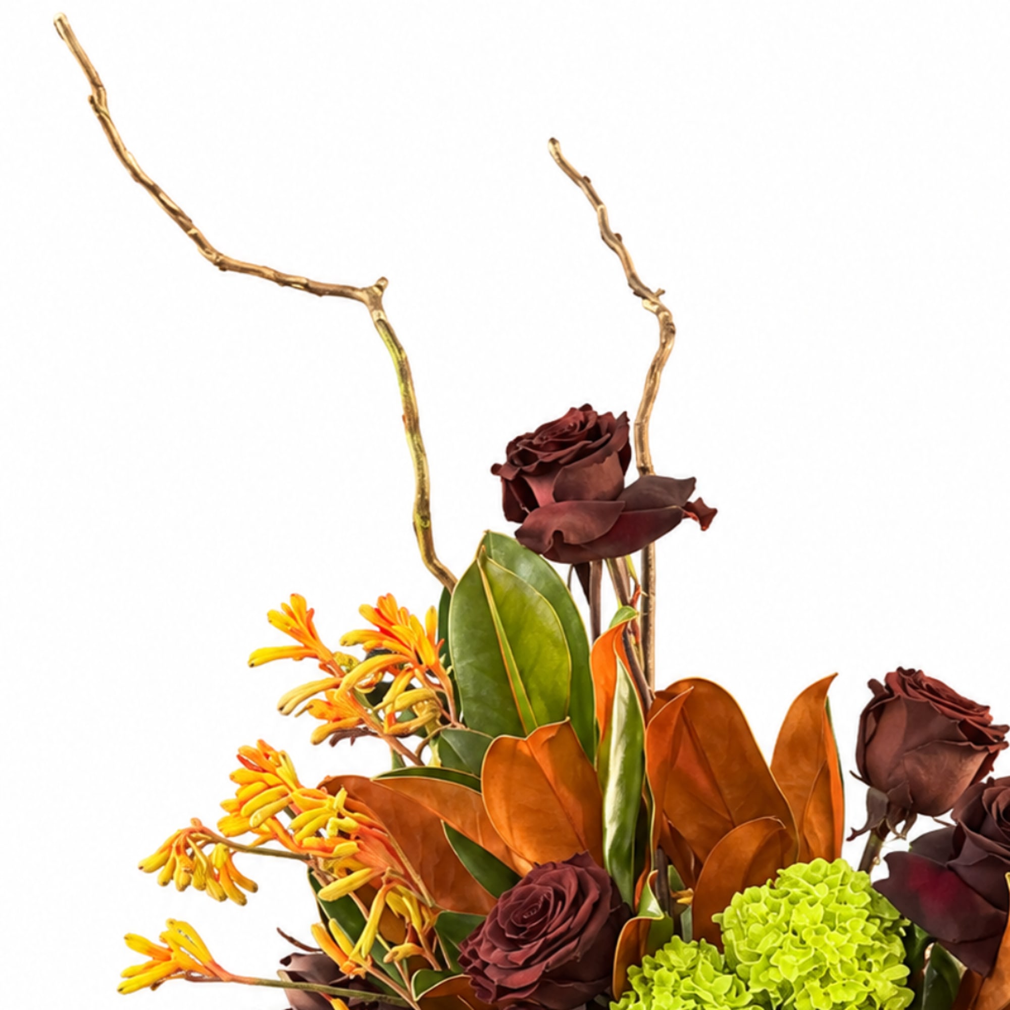 Arrangement with dark roses, orange flowers, and bright green hydrangea in a vase