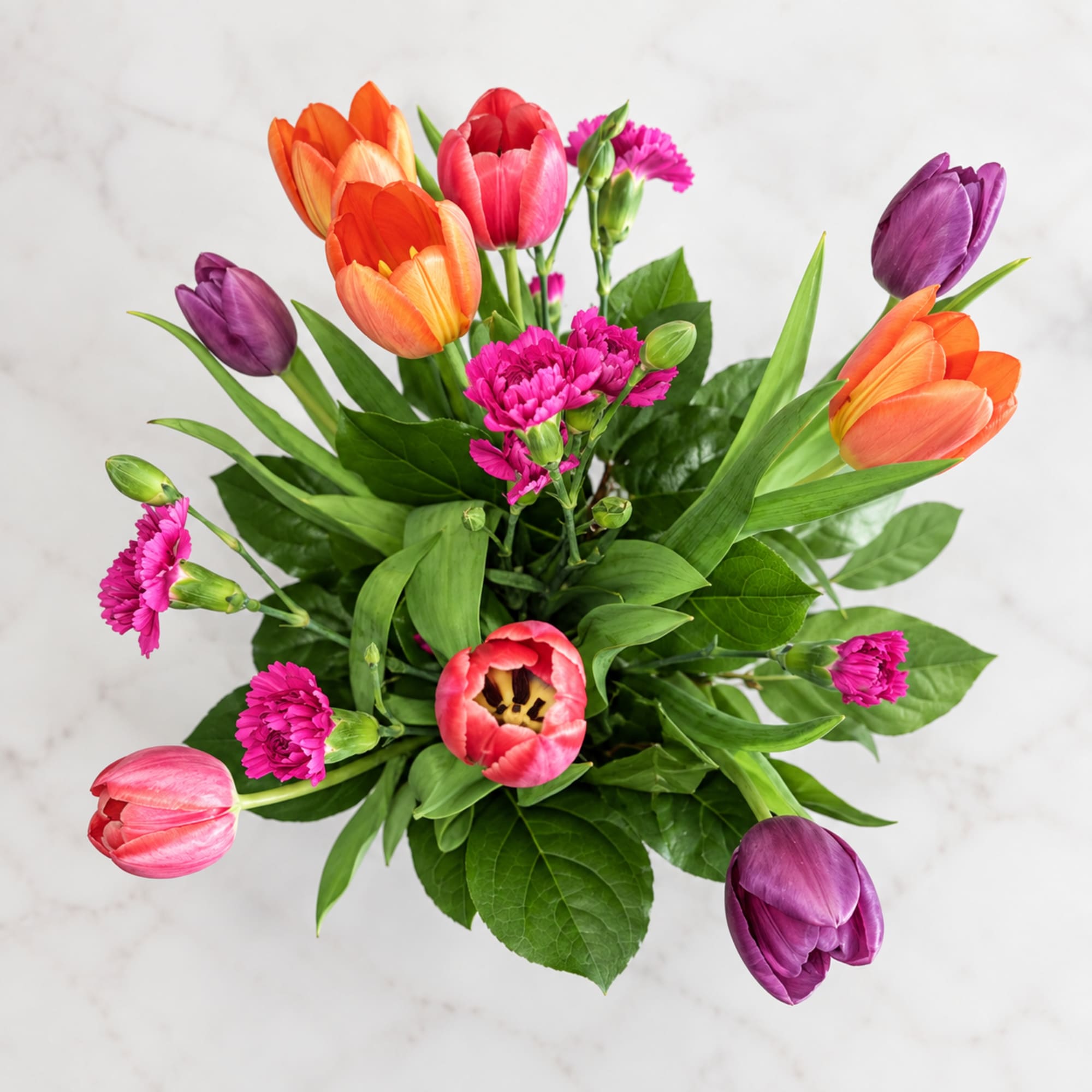 Colorful tulip bouquet with pink carnations on a white background