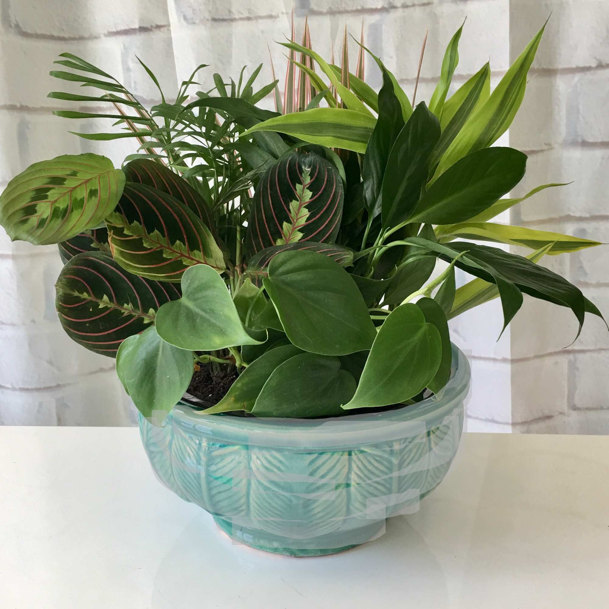 Mixed green houseplants arranged in a turquoise bowl planter