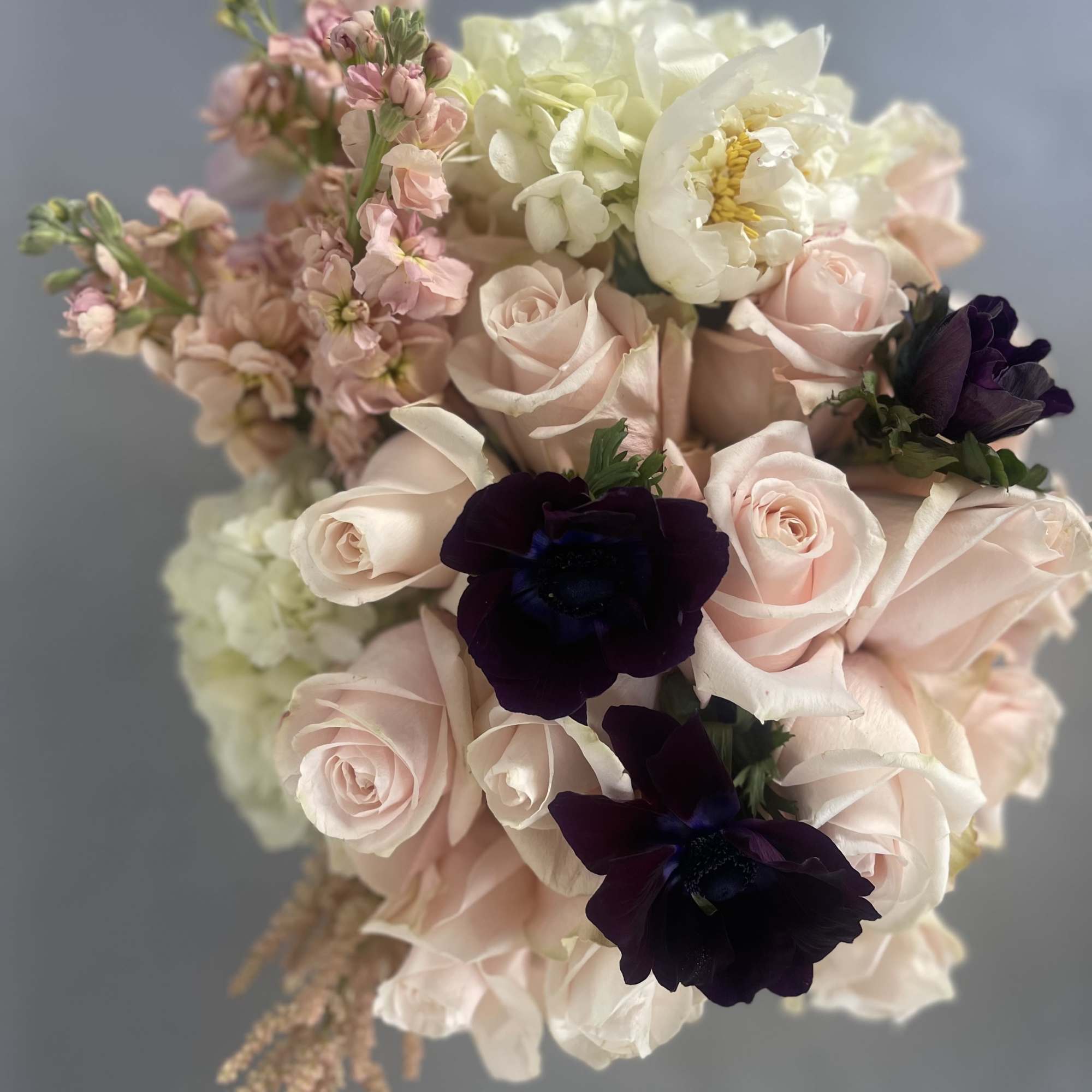 Bouquet of pale pink and white roses with dark purple blooms