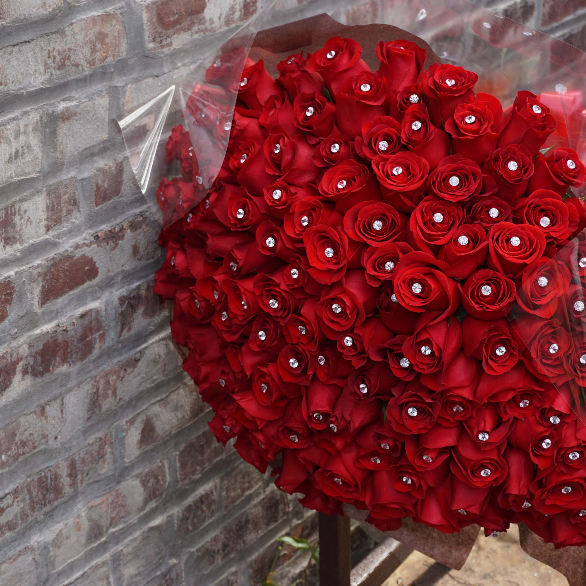 Large bouquet of red roses wrapped in clear plastic