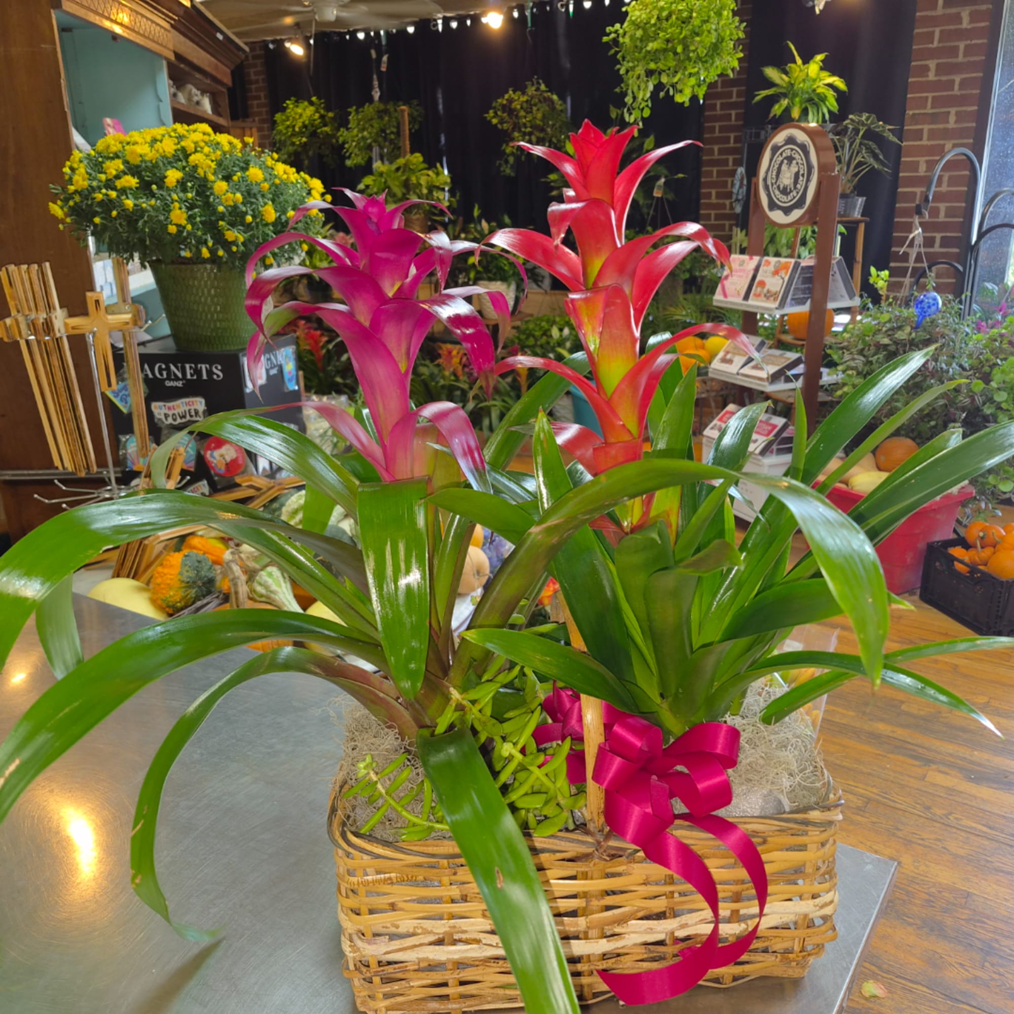 Two colorful bromeliad plants in a wicker basket with a pink ribbon