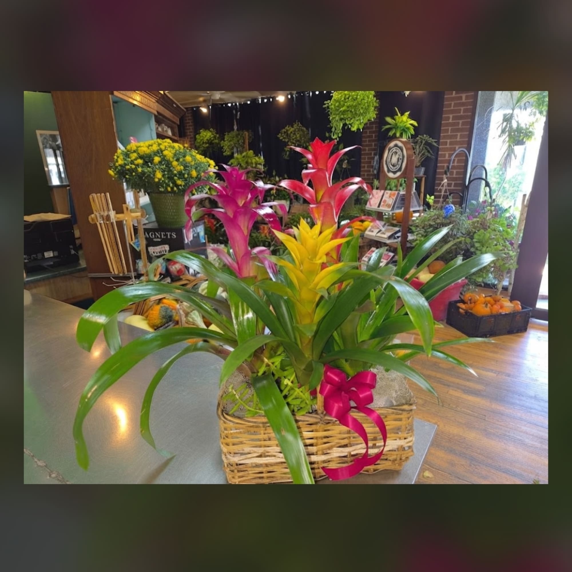 Basket arrangement with colorful bromeliads and long green leaves