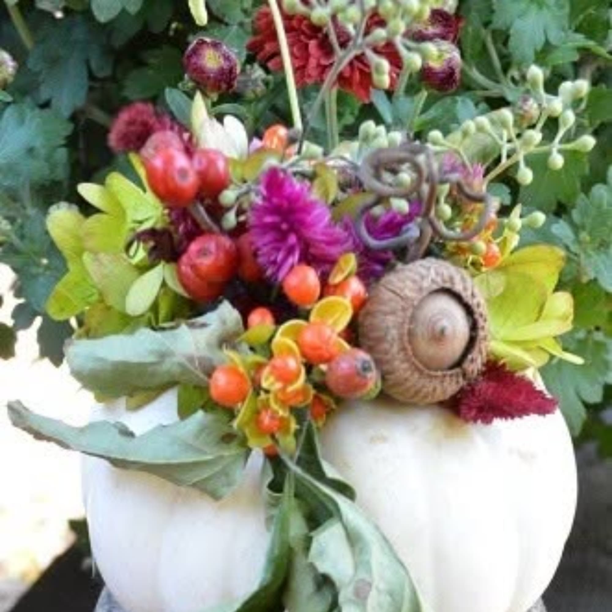 Floral arrangement in a white pumpkin container with colorful blooms and an acorn accent