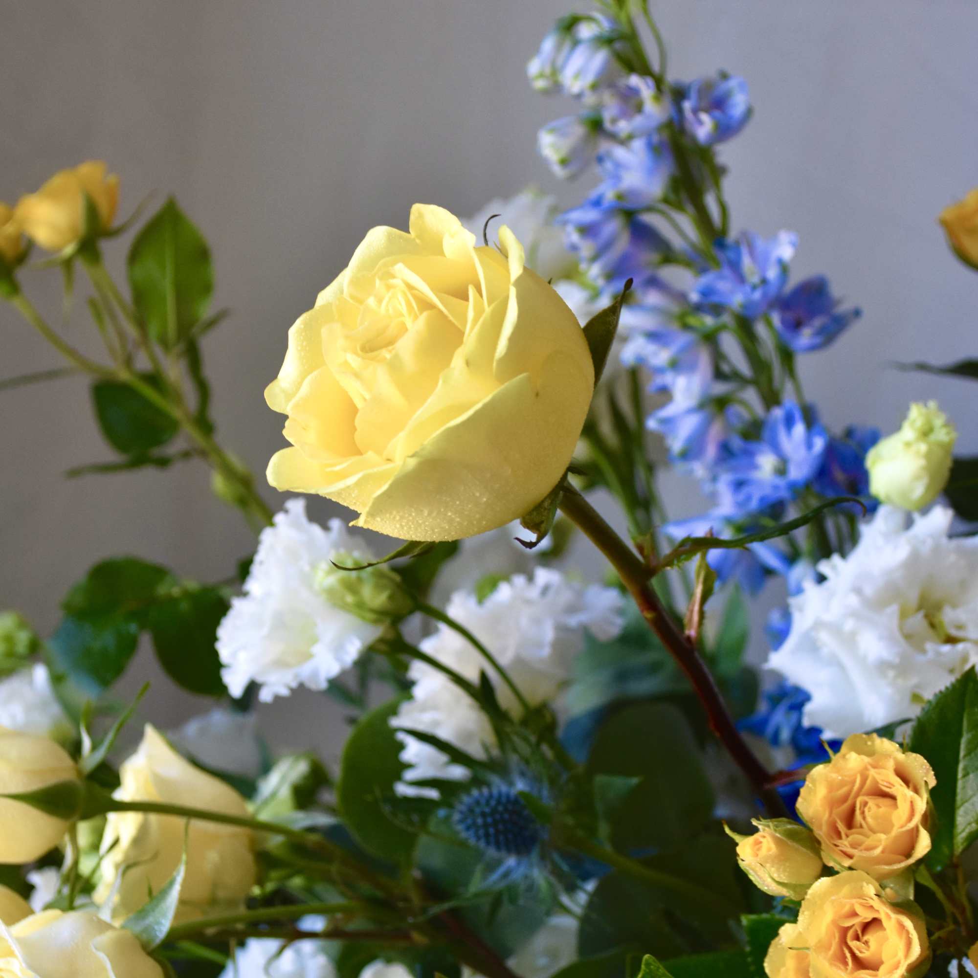 Yellow roses with blue and white flowers in a mixed bouquet