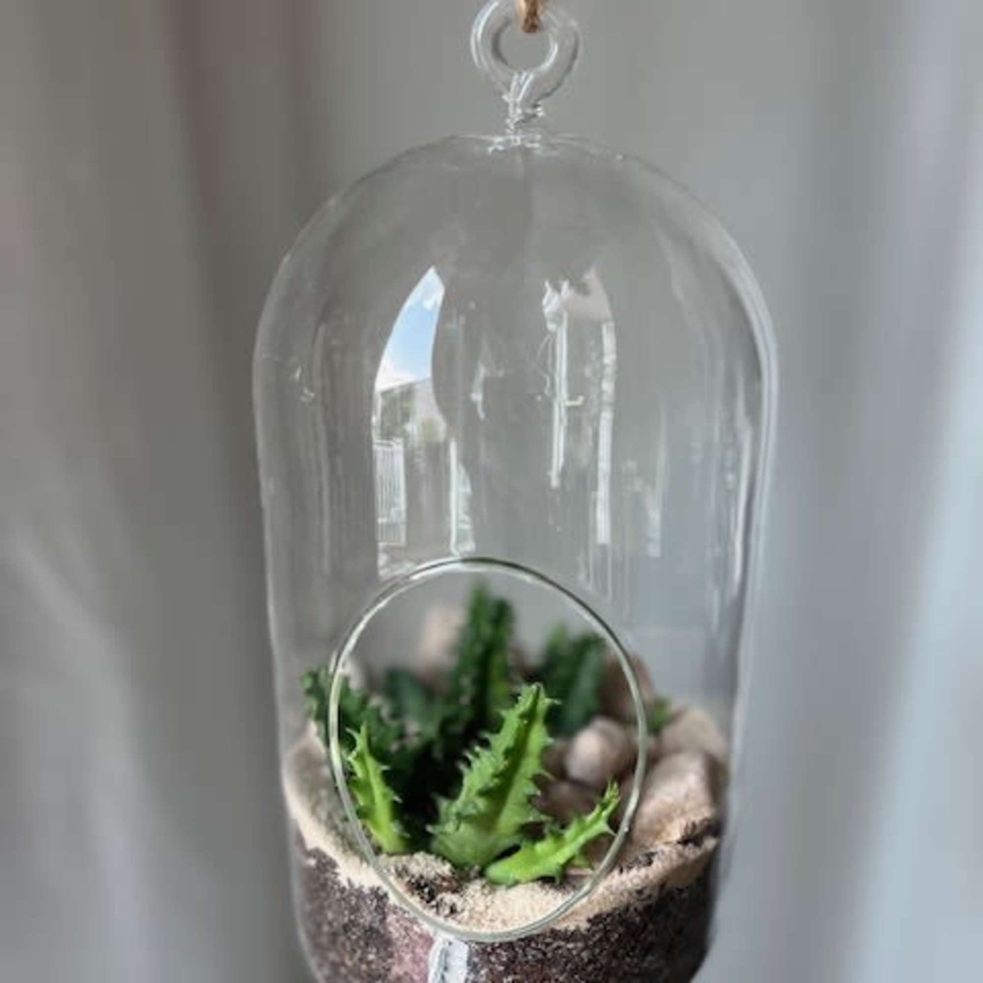 Hanging glass terrarium with a small succulent and sand layers