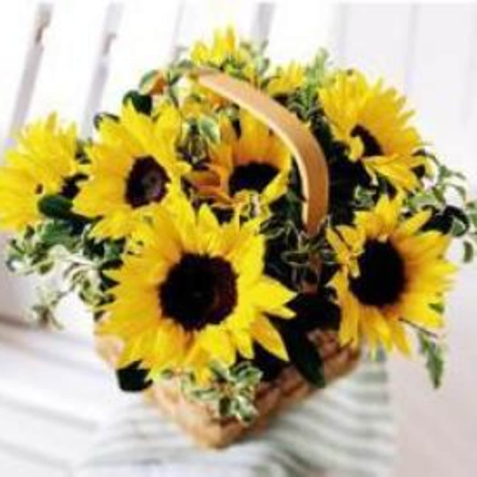 Basket of bright yellow sunflowers with a curved handle