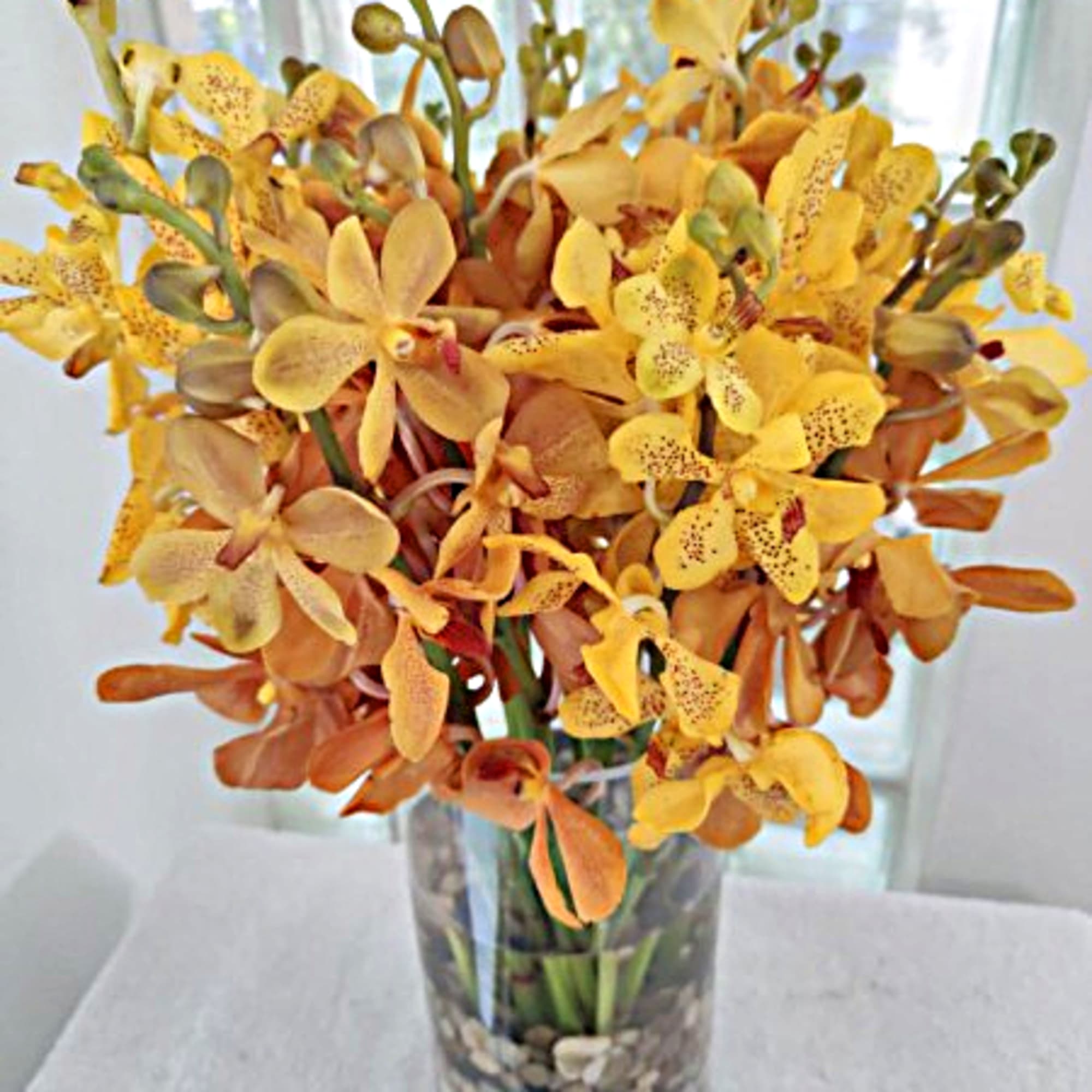 Yellow and orange orchid arrangement in a clear glass vase with pebbles
