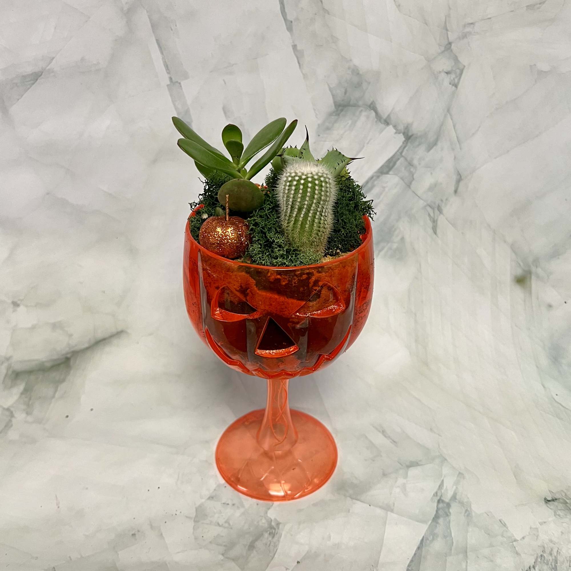 Succulent arrangement in an orange jack-o'-lantern goblet