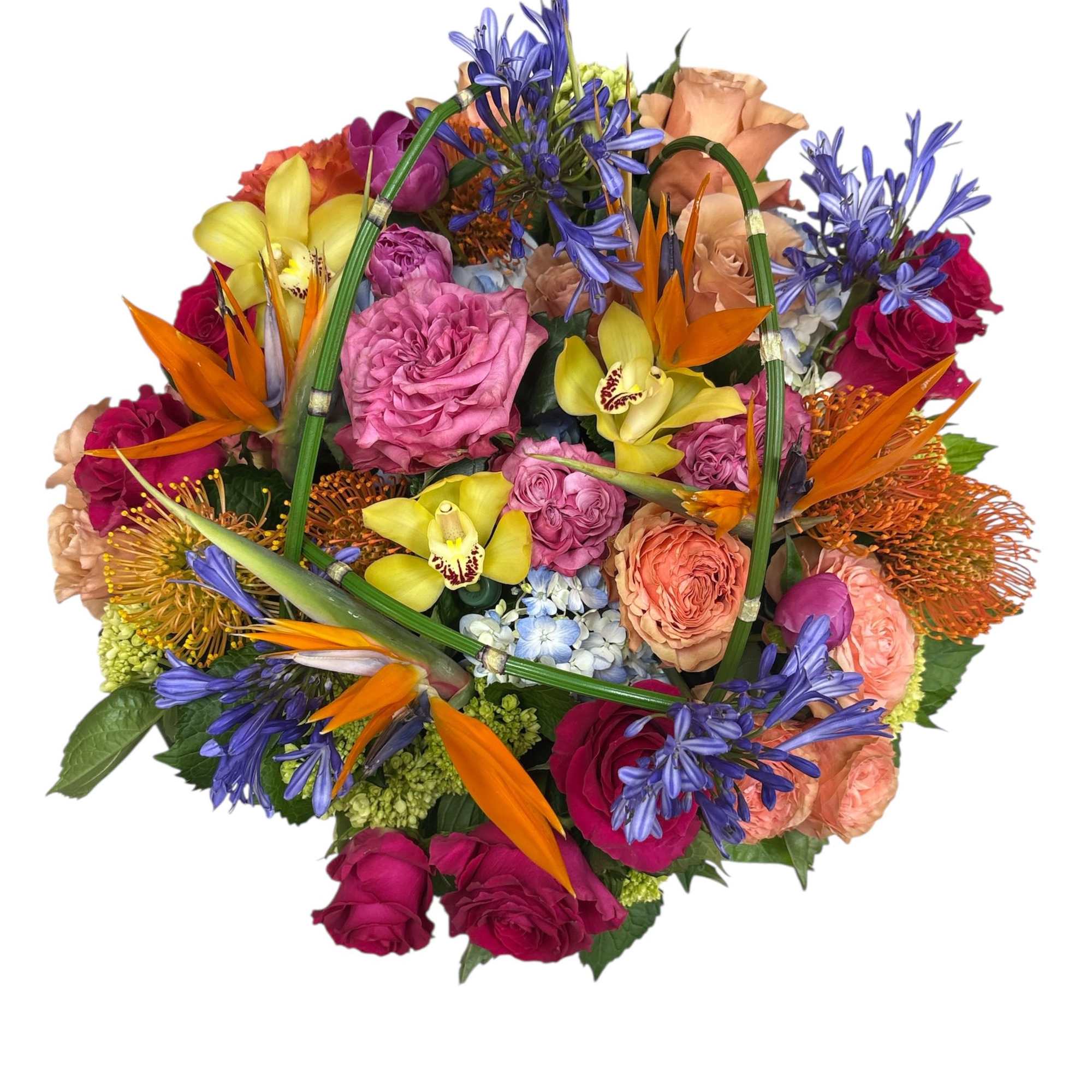 Lux &ndash; Radiance
A bold celebration of color and sophistication.

Radiance from our Lux, photo 2 of 3