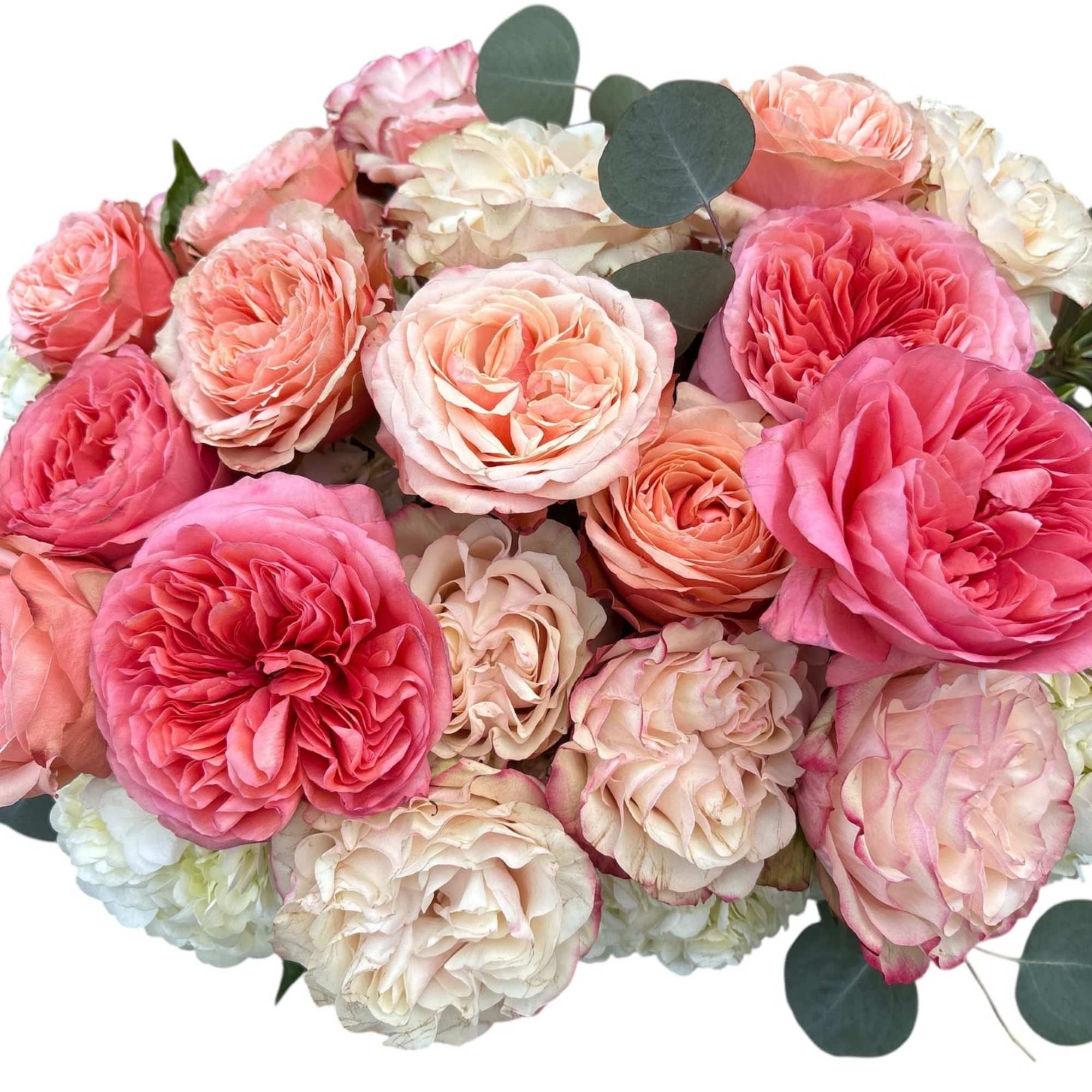 Bouquet of pink and cream roses with eucalyptus