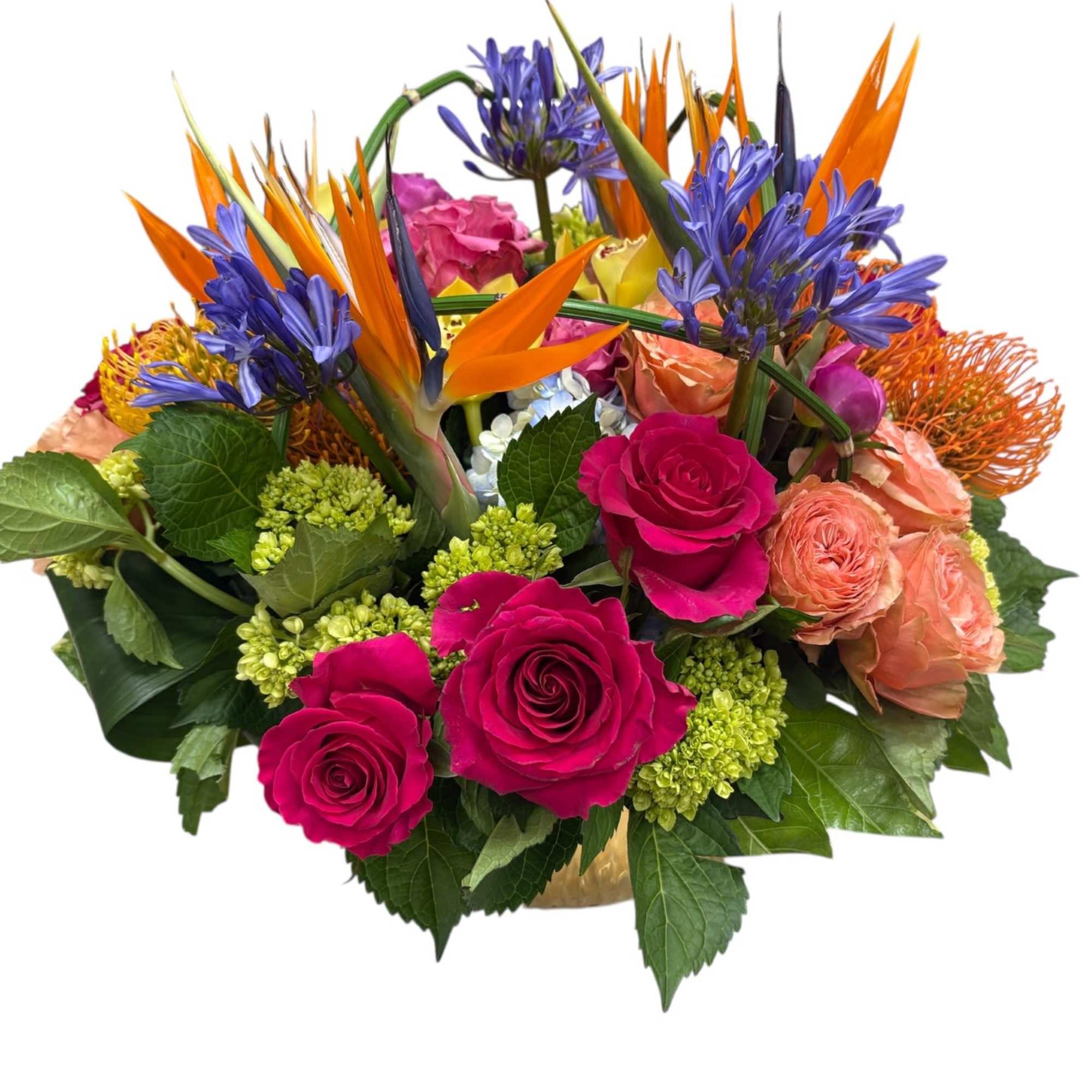 Lux &ndash; Radiance
A bold celebration of color and sophistication.

Radiance from our Lux
