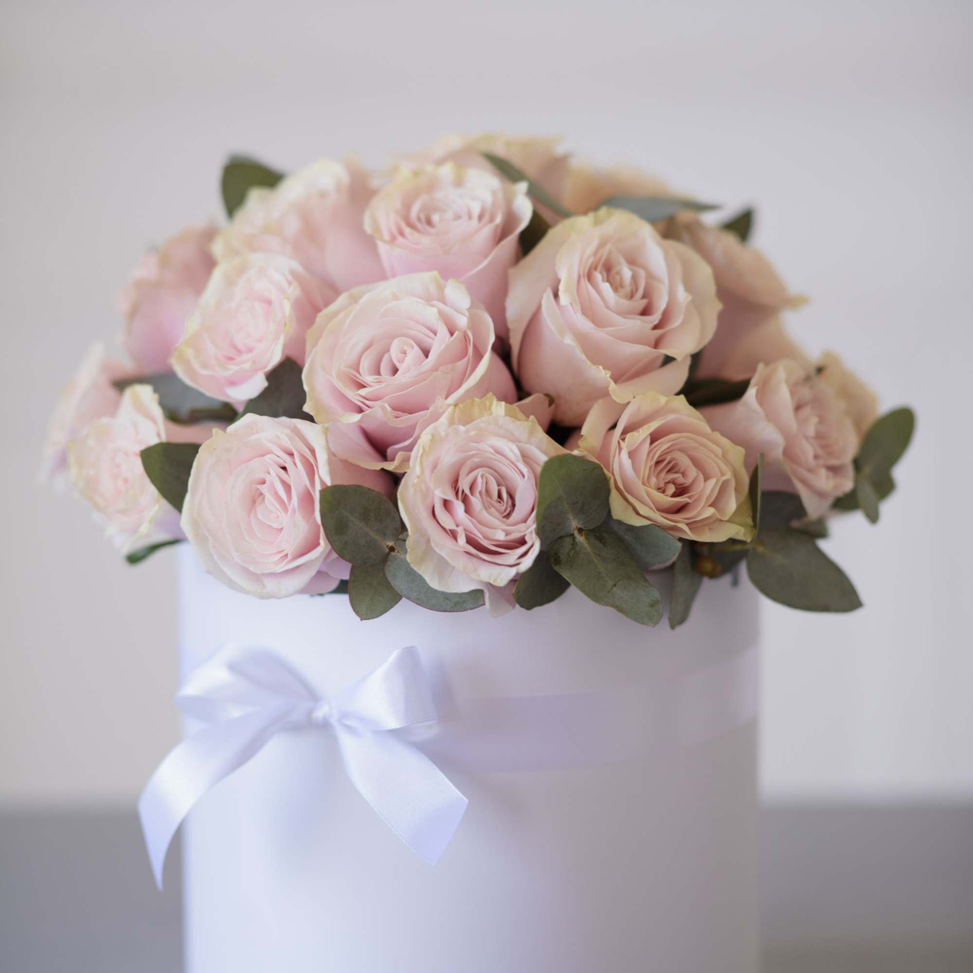 Premium, equadorian pale pink roses (up to 30 - medium sized box, photo 2 of 2